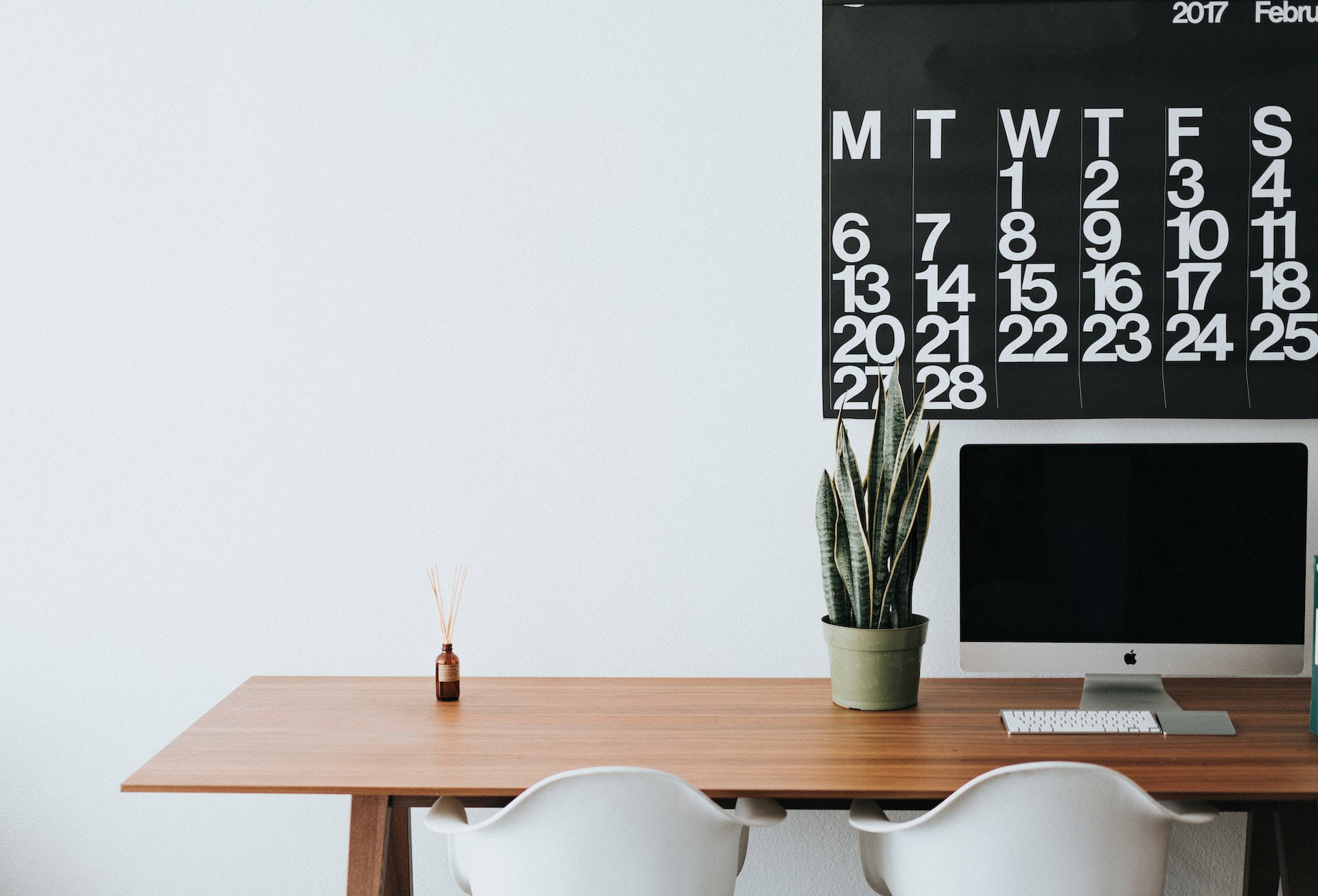 wooden desk, white chairs, snake plant, Full HD Desktop Wallpaper