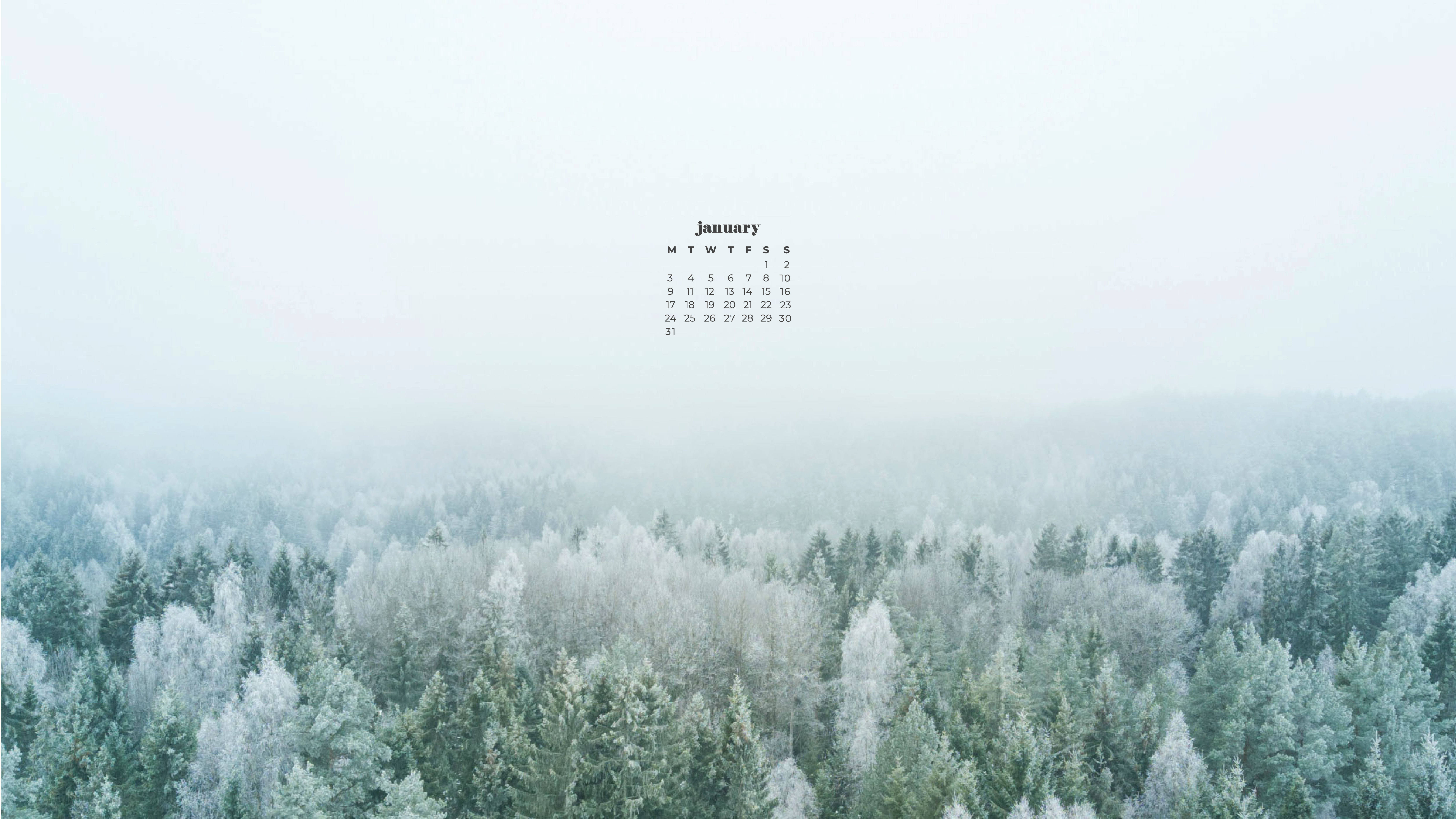 Foggy Trees January 2022 Calendar, January 2022 Calendar, frosty evergreen forest, 5K Desktop Wallpaper