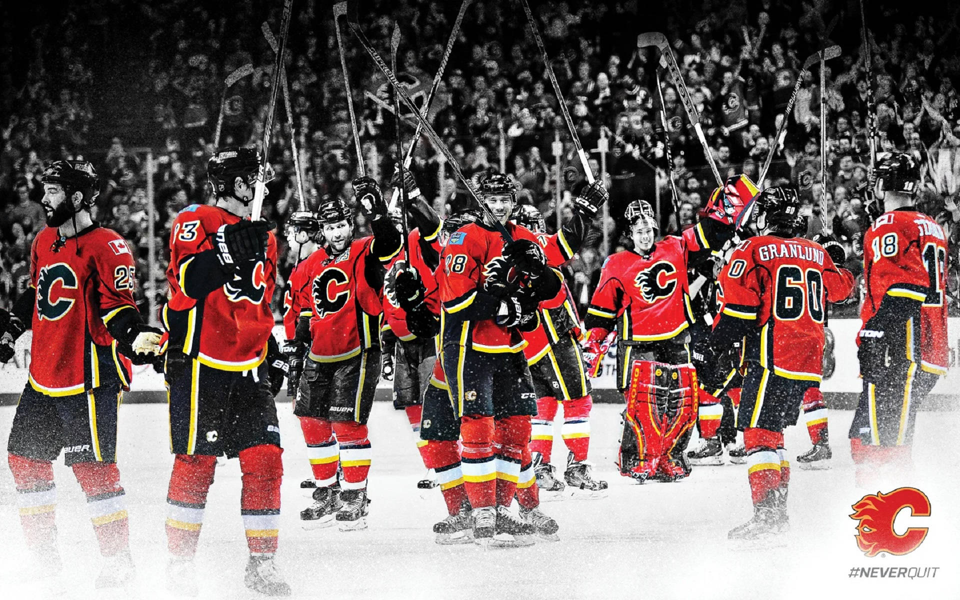 Calgary Flames, red jerseys, ice hockey team, Full HD Desktop Wallpaper