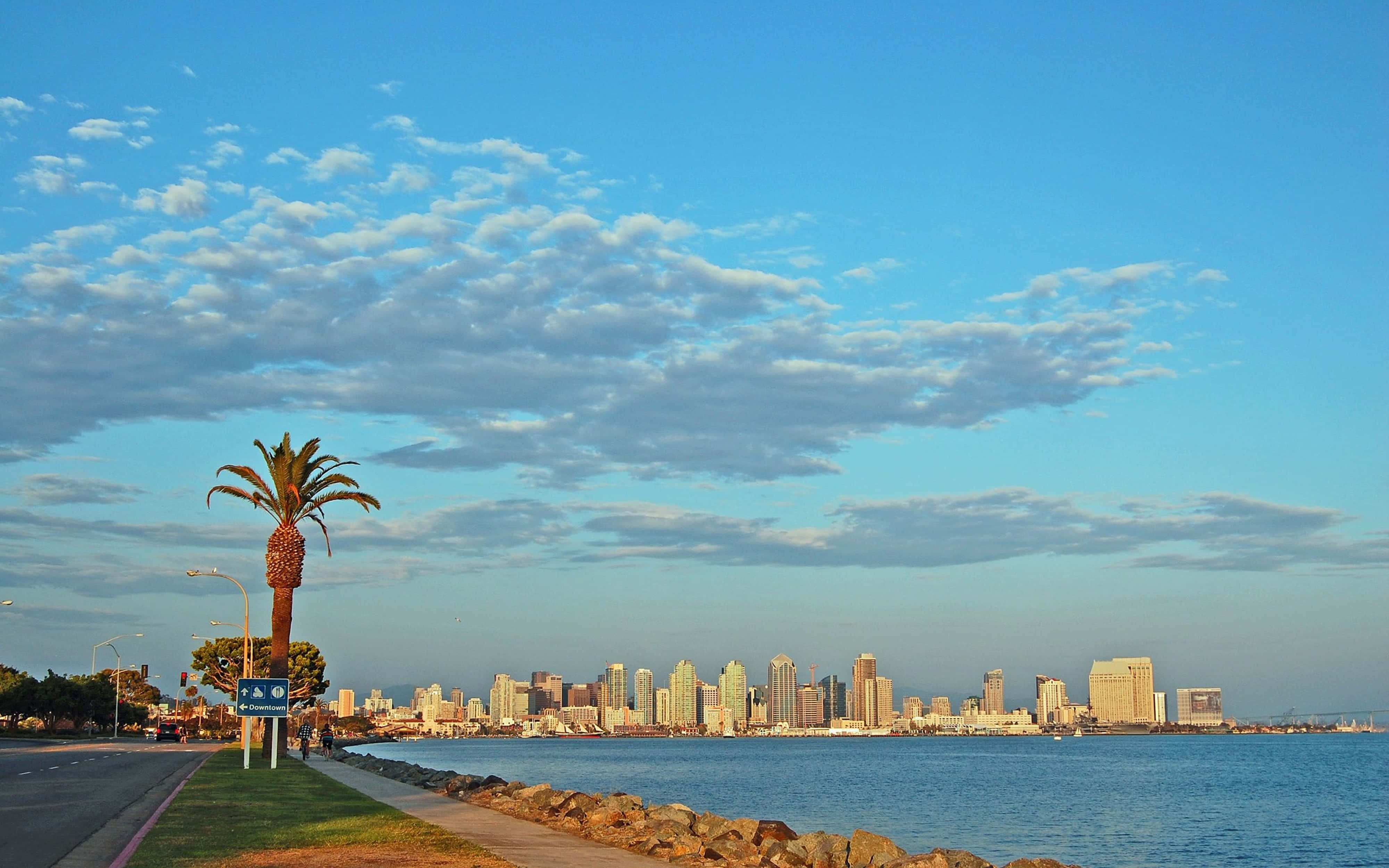 California, coastline, palm tree, 4K Desktop Wallpaper