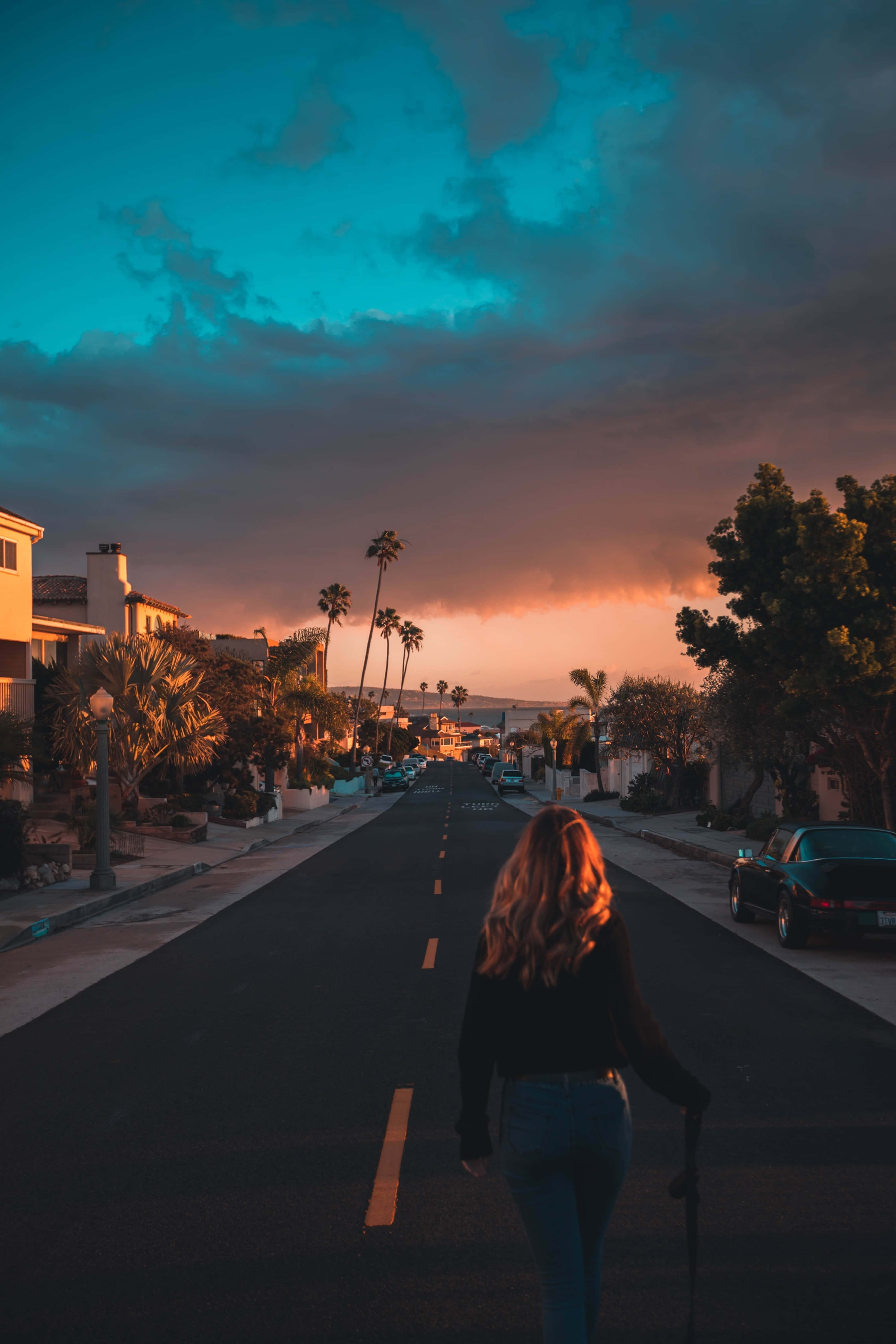 California 4K, sunset, palm trees, 5K Phone Wallpaper