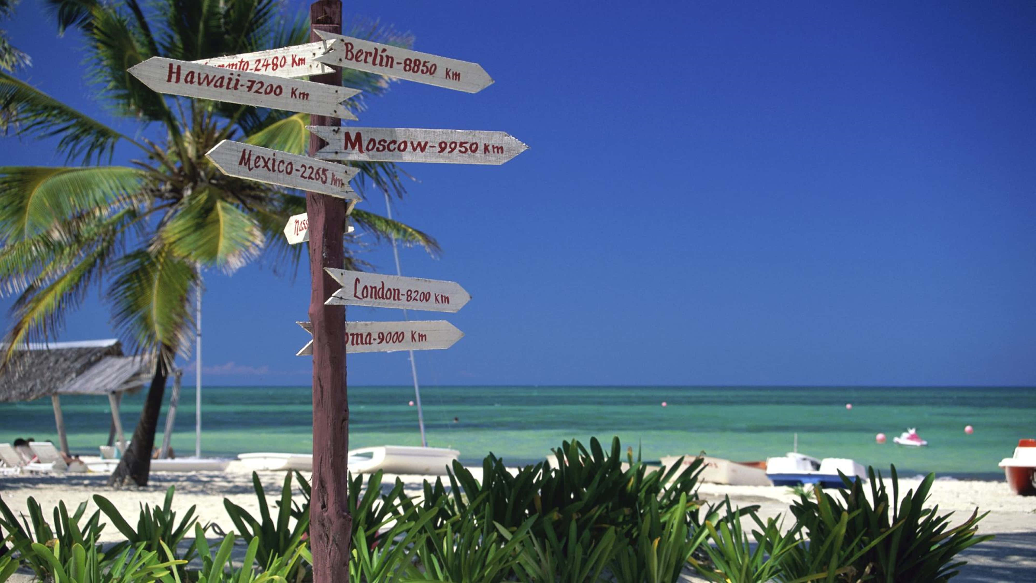 California 4K, tropical beach, clear blue sky, 4K Desktop Wallpaper