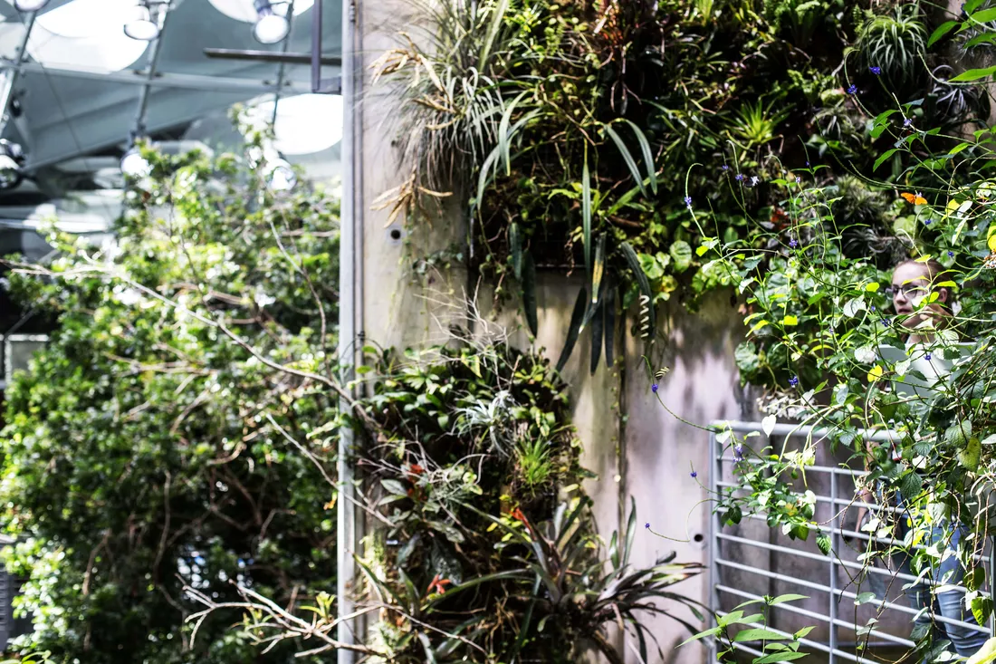 California Academy Of Sciences