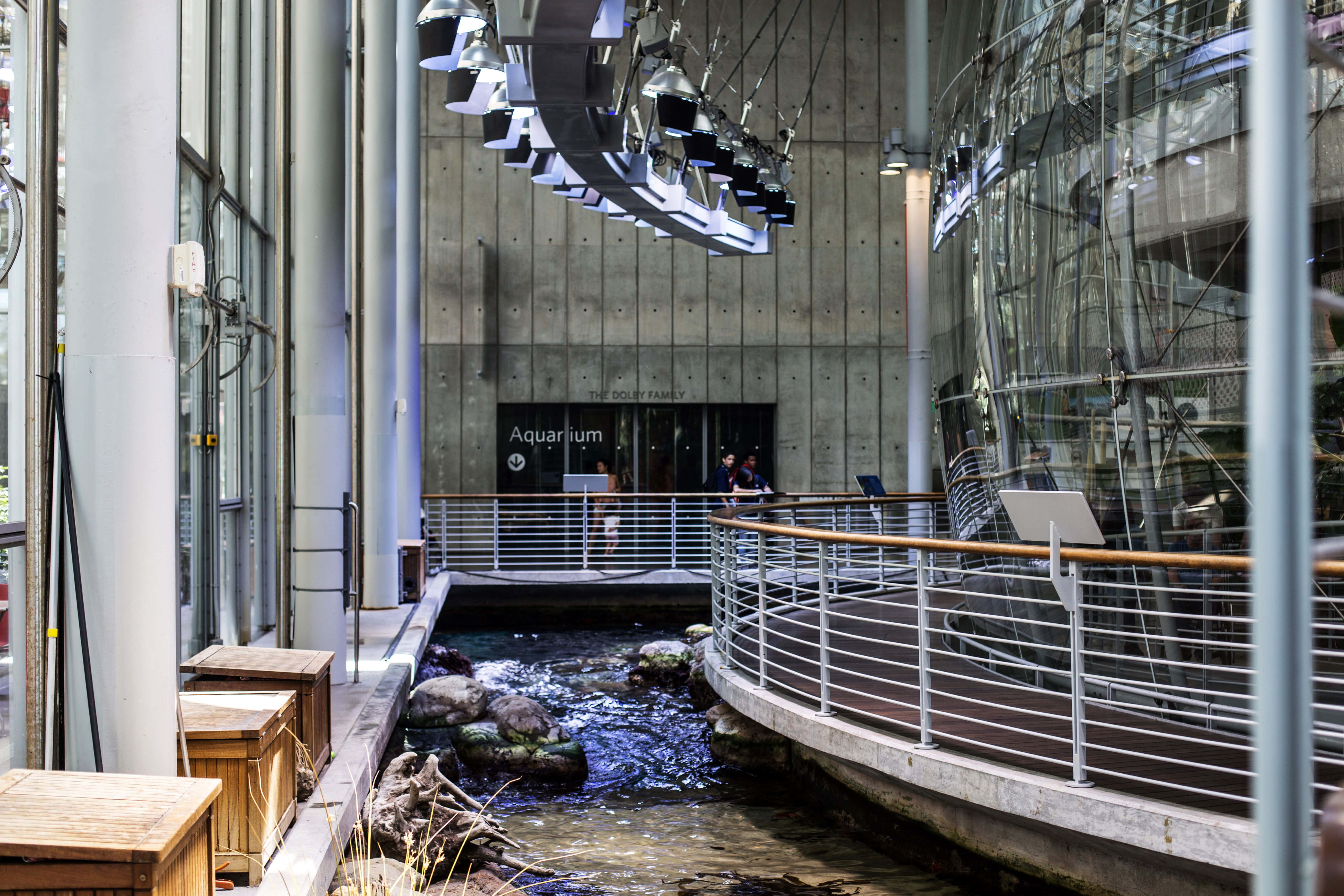 California Academy Of Sciences, aquarium entrance, modern indoor stream, 5K Desktop Wallpaper