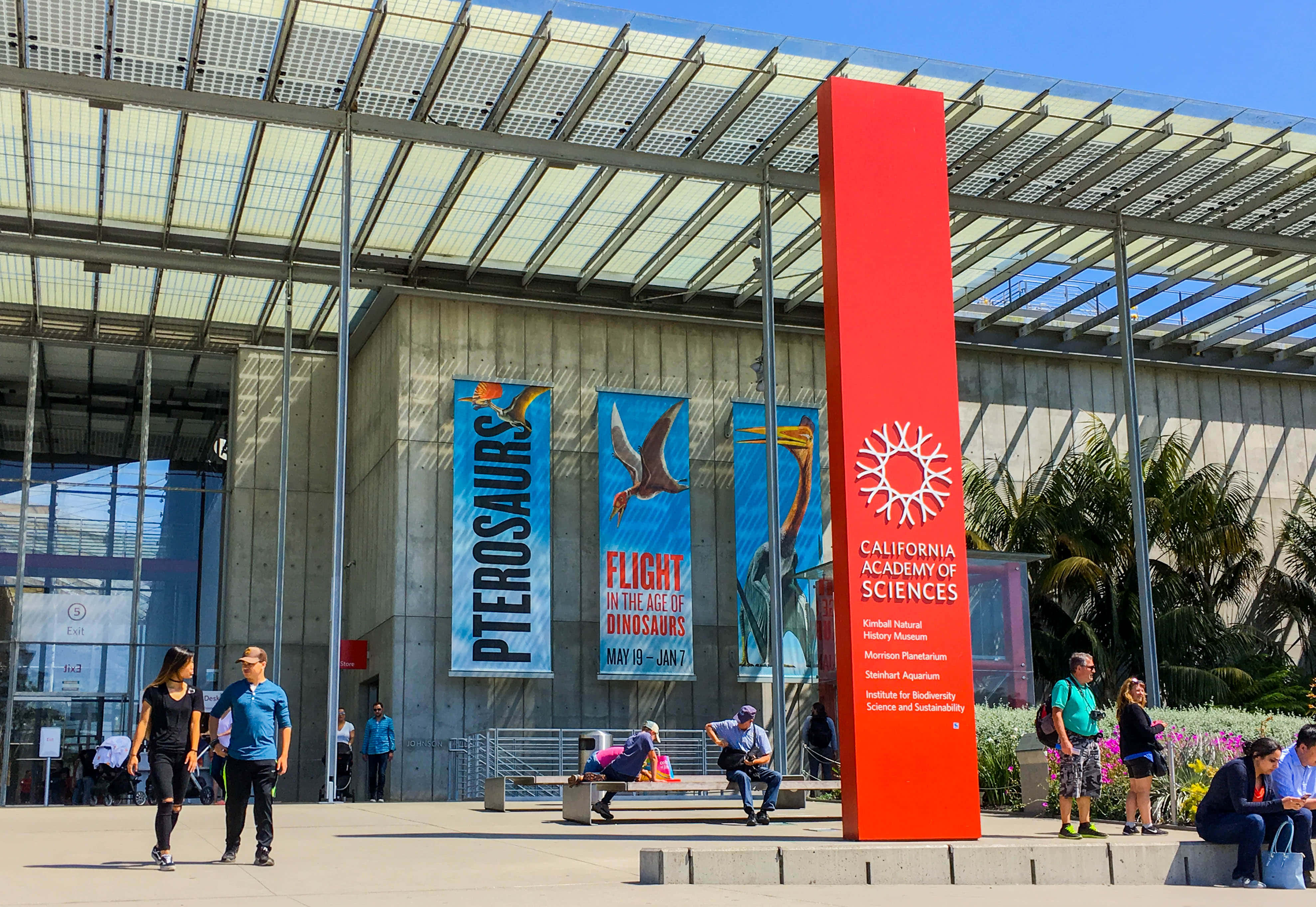 California Academy Of Sciences, glass roof, vibrant pterosaur banners, 4K Desktop Wallpaper
