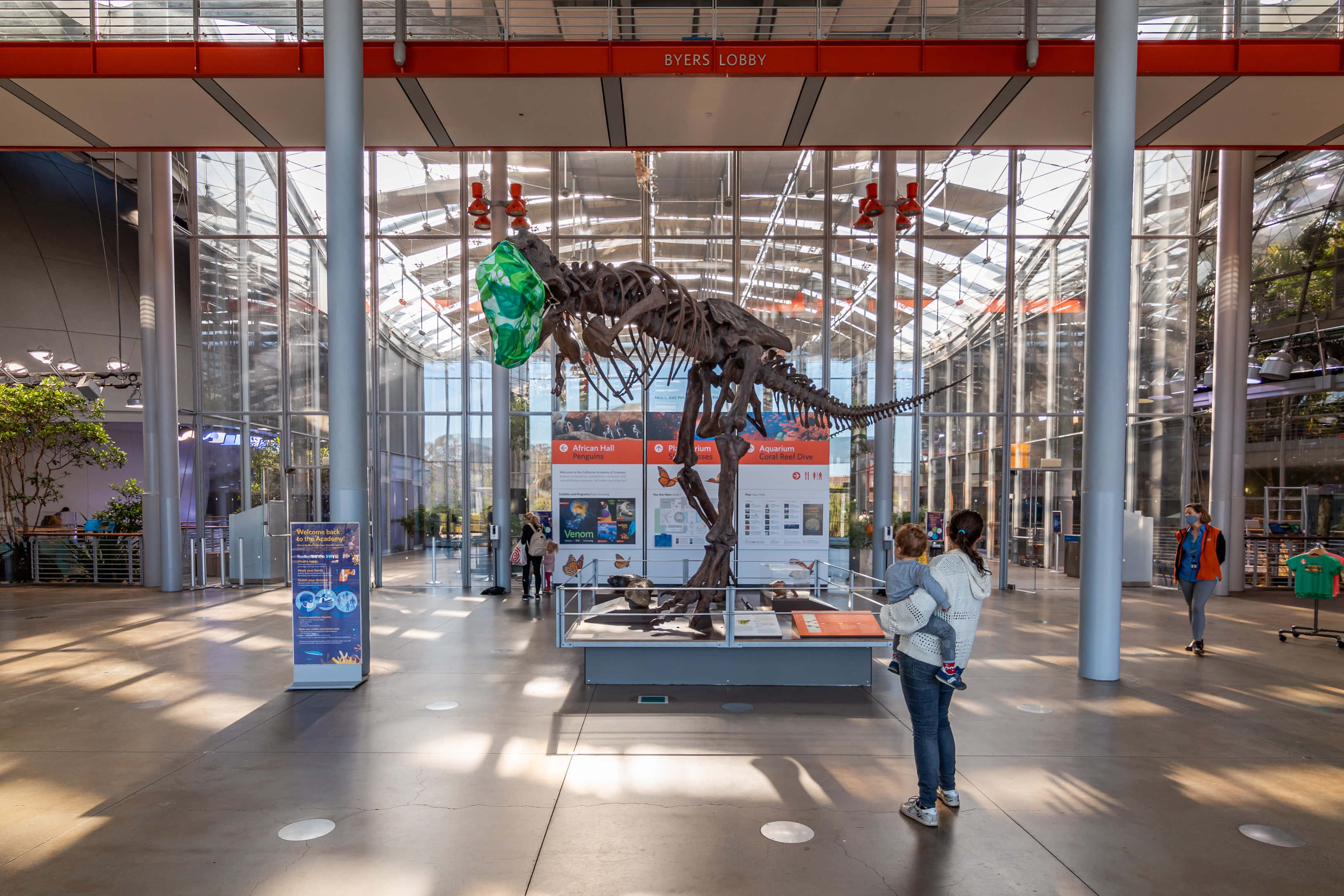 California Academy Of Sciences, dinosaur exhibit, large dinosaur skeleton exhibit, 2K Desktop Wallpaper