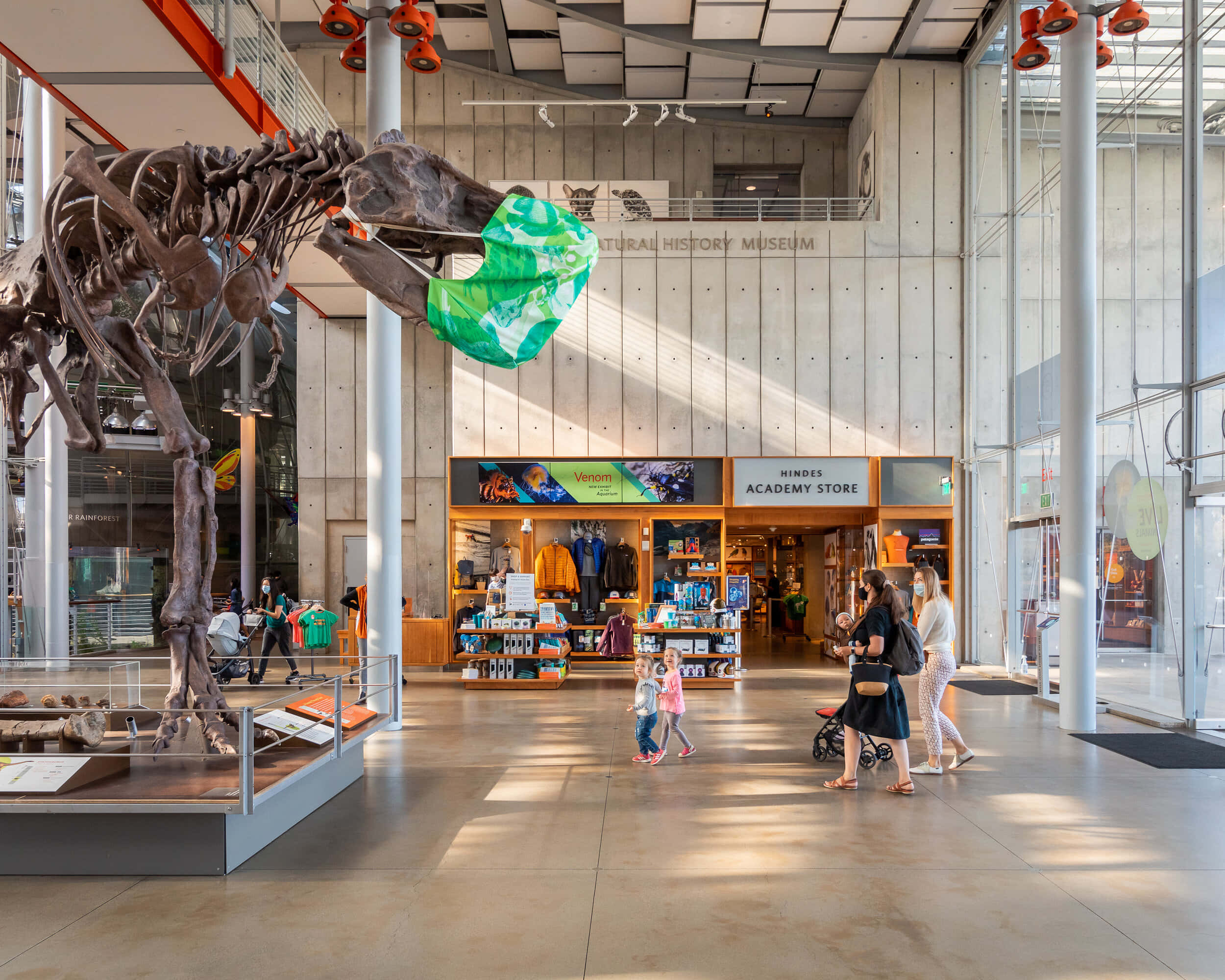 California Academy Of Sciences, dinosaur skeleton, museum atrium, Full HD Desktop Wallpaper