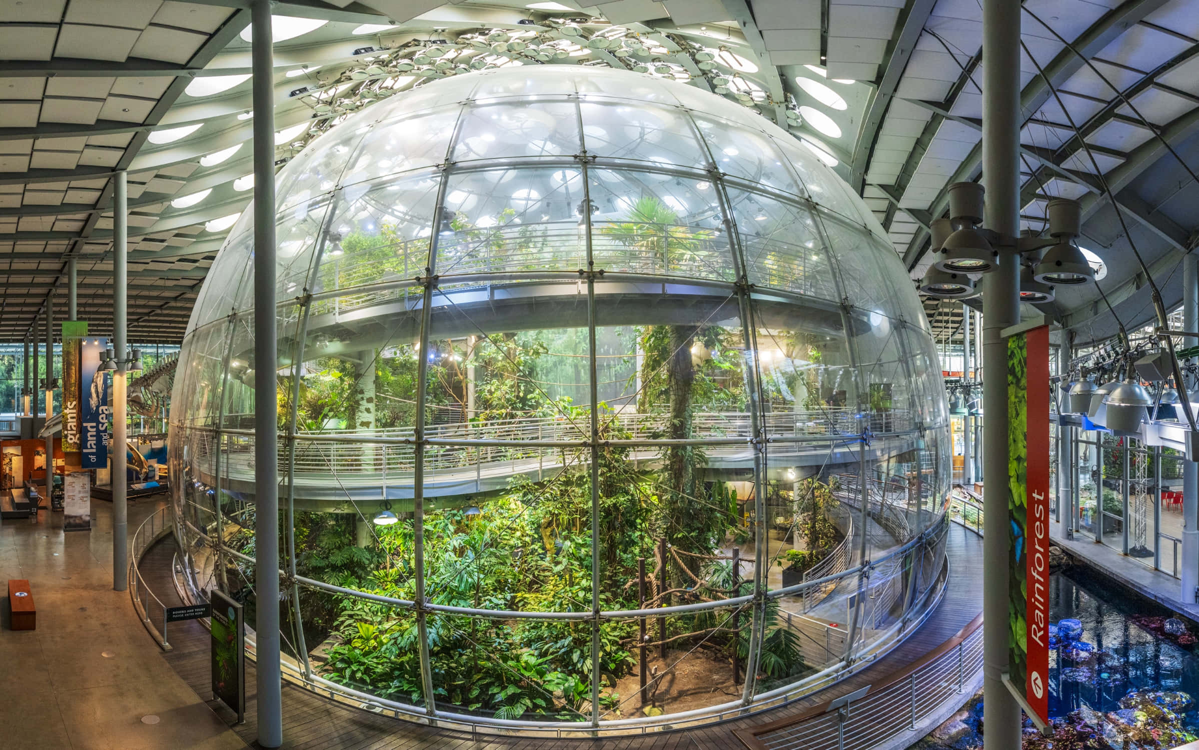 California Academy Of Sciences, rainforest dome, glass dome, Full HD Desktop Wallpaper
