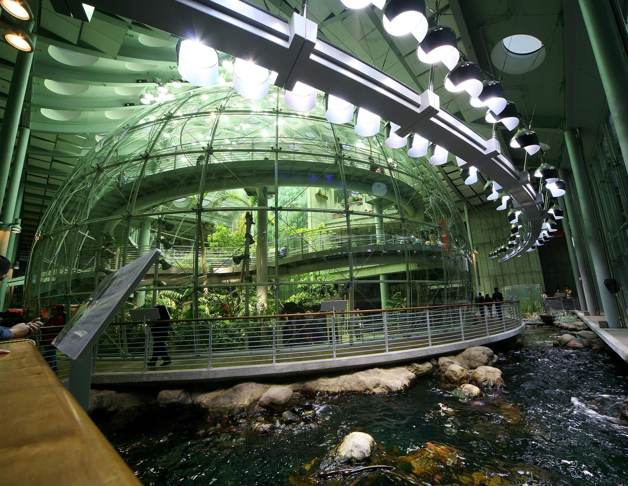 California Academy of Sciences, rainforest exhibit, glass-domed, Full HD Desktop Wallpaper