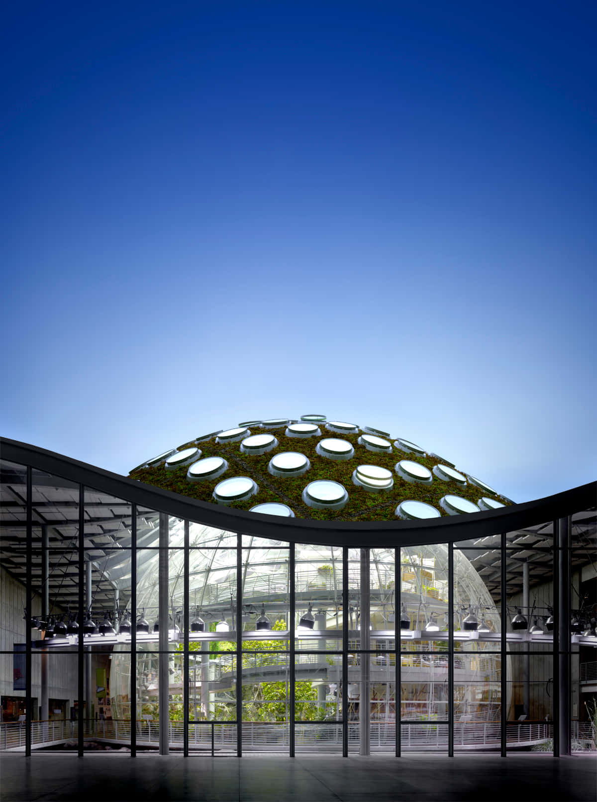 California Academy of Sciences, living roof, green domed roof, HD Phone Wallpaper