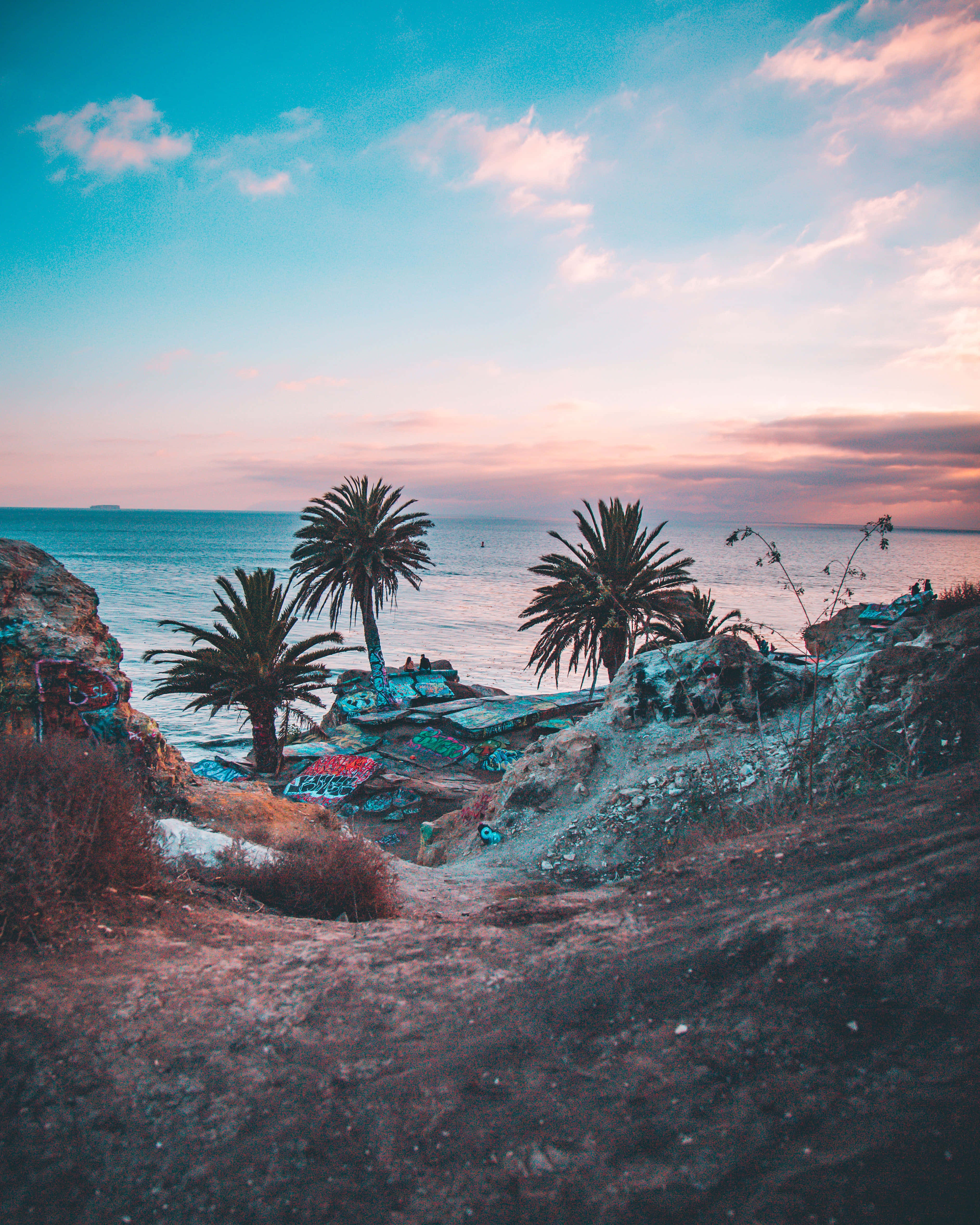 California Aesthetic, palm trees, graffiti-covered rocks, 4K Phone Wallpaper