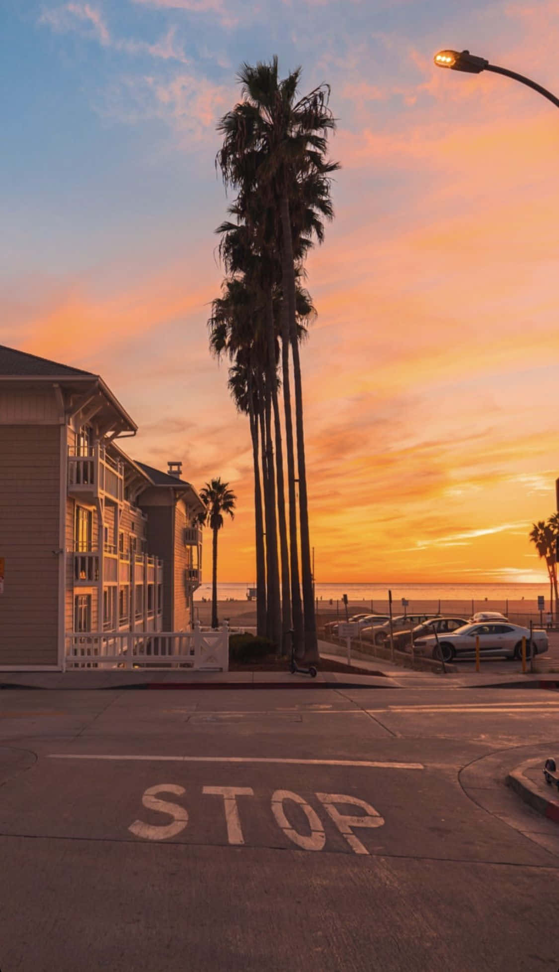California Aesthetic, sunset, palm trees, Full HD Phone Wallpaper
