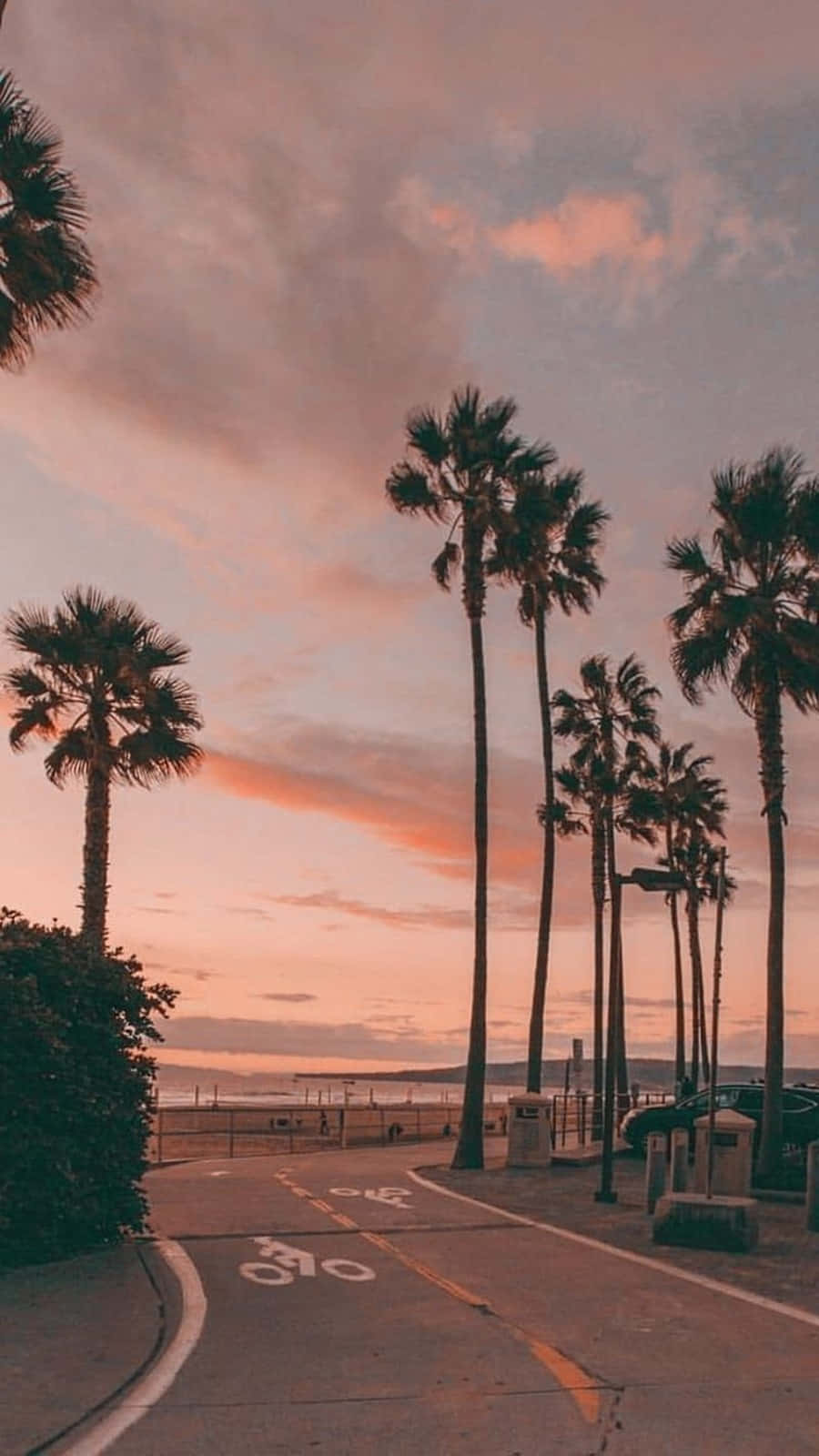 California, iPhone, tall palm trees, HD Phone Wallpaper