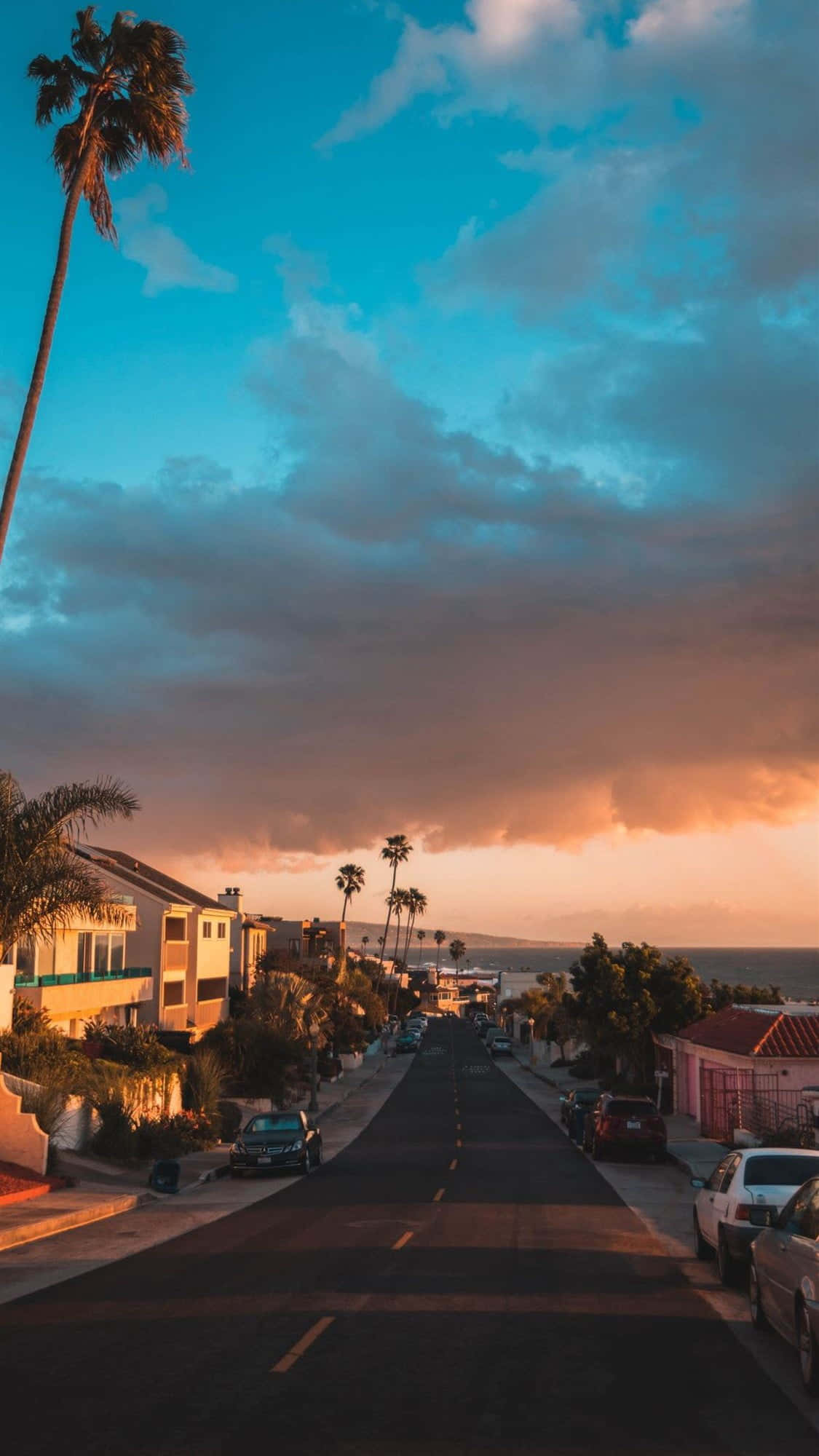 California Aesthetic, palm trees, coastal street, Full HD Phone Wallpaper