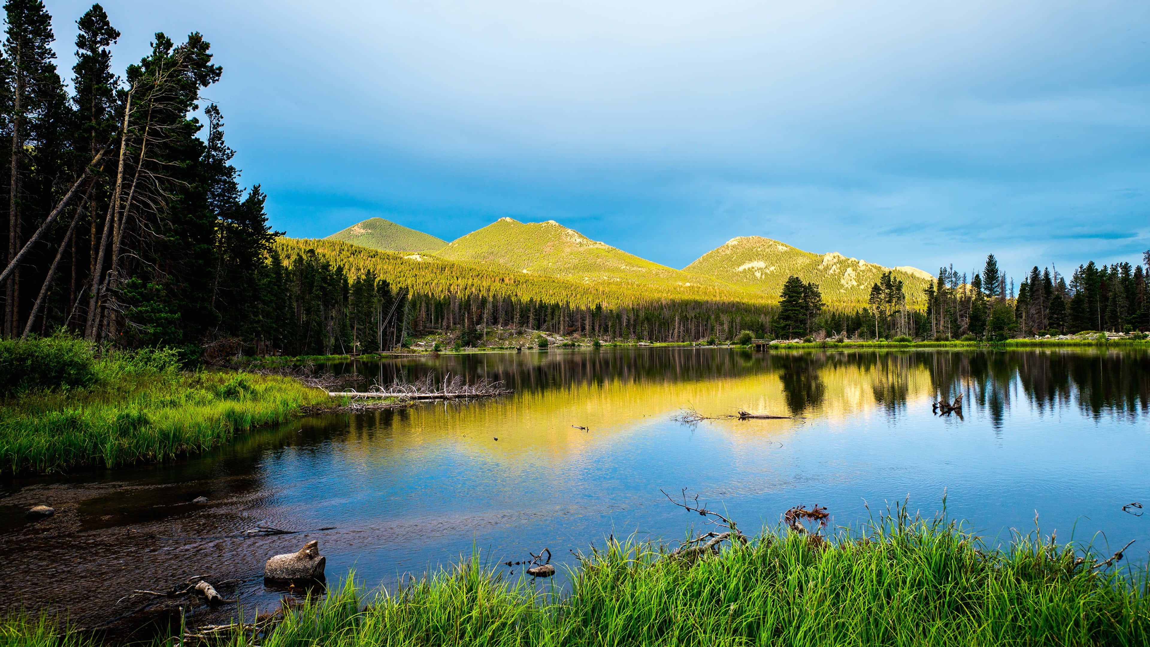 California Mountain, golden peaks, evergreen forests, 4K Desktop Wallpaper