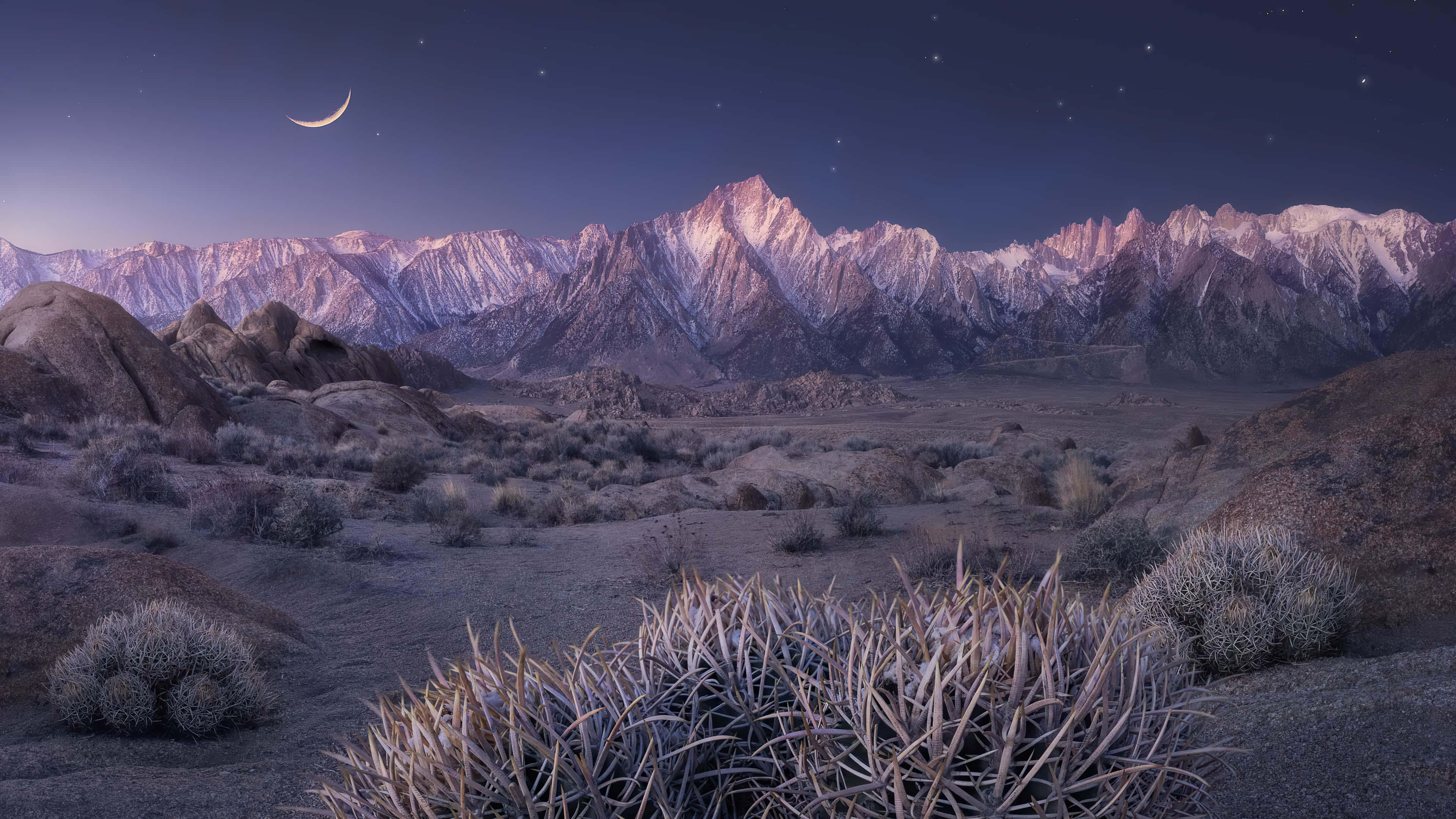 California Mountain, desert landscape, cactus, 4K Desktop Wallpaper