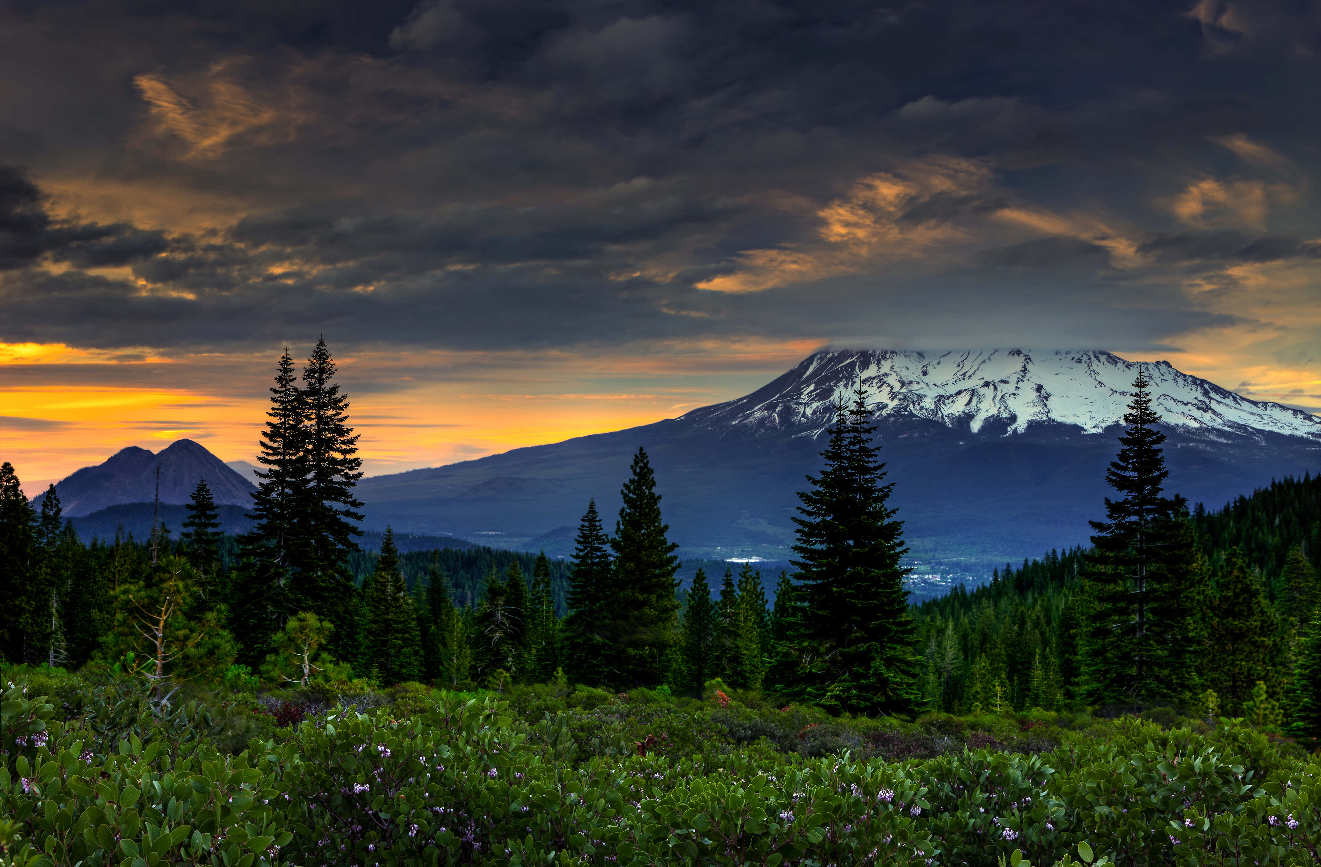 California Mountain, snow-capped mountain, dense forest, 4K Desktop Wallpaper