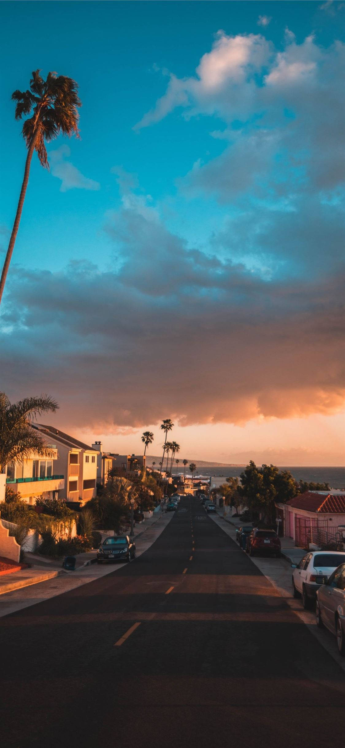 iPhone, California, palm trees, Full HD Phone Wallpaper