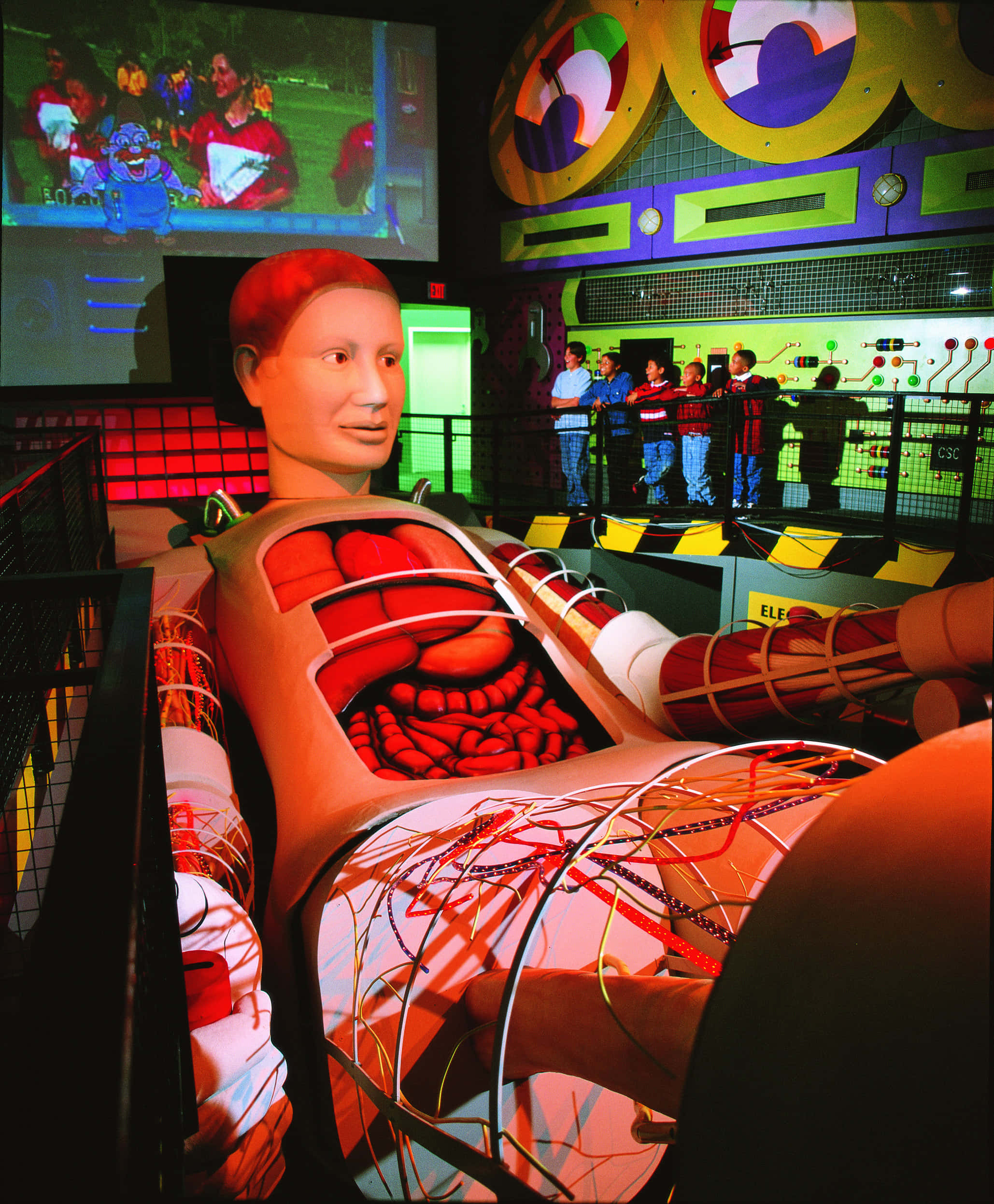 giant model human body exhibit, anatomical mannequin, red organs, Full HD Phone Wallpaper