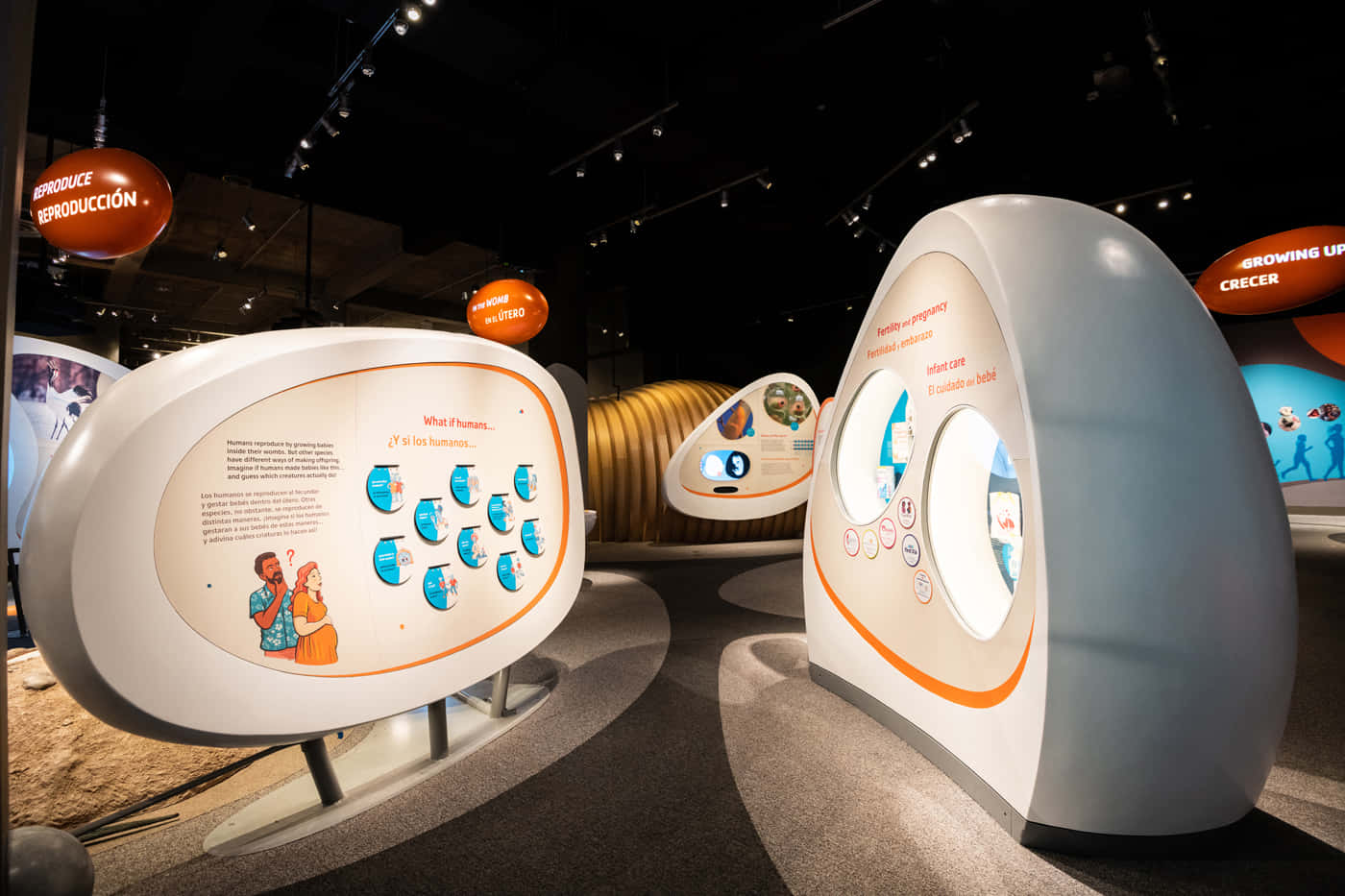 California Science Center, curved white and orange interactive kiosks, bright spotlights, HD Desktop Wallpaper