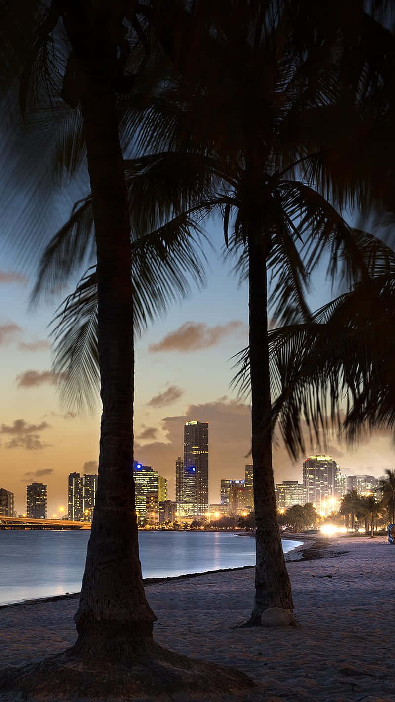 California Summer, palm trees, city skyline, HD Phone Wallpaper