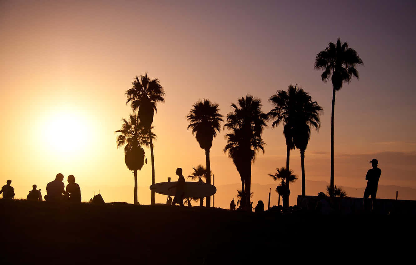 California Summer, sunset, hill, HD Desktop Wallpaper