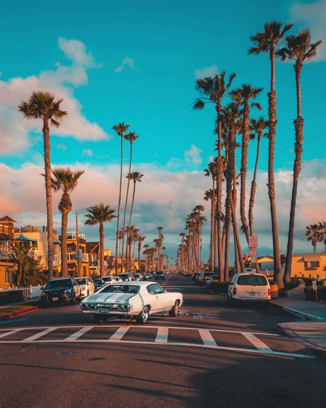 California Summer, white classic muscle car, palm tree-lined coastal street, HD Phone Wallpaper