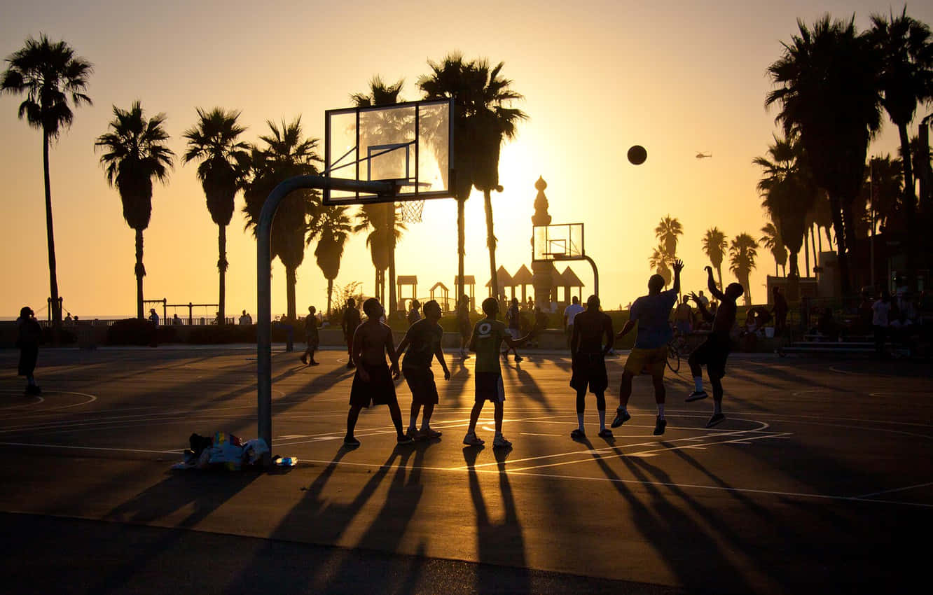 California Summer, Sunset, Palm trees, HD Desktop Wallpaper
