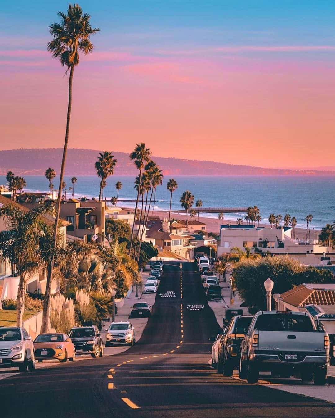 California Summer, coastal road, palm trees, HD Phone Wallpaper