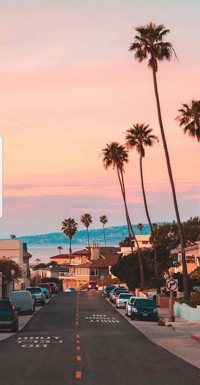 California Summer, palm-lined coastal street, soft pink sunset light, HD Phone Wallpaper