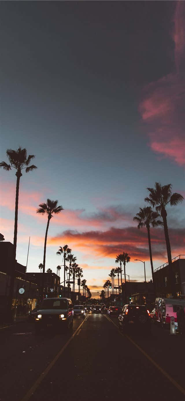 California Summer, palm trees, sunset, HD Phone Wallpaper