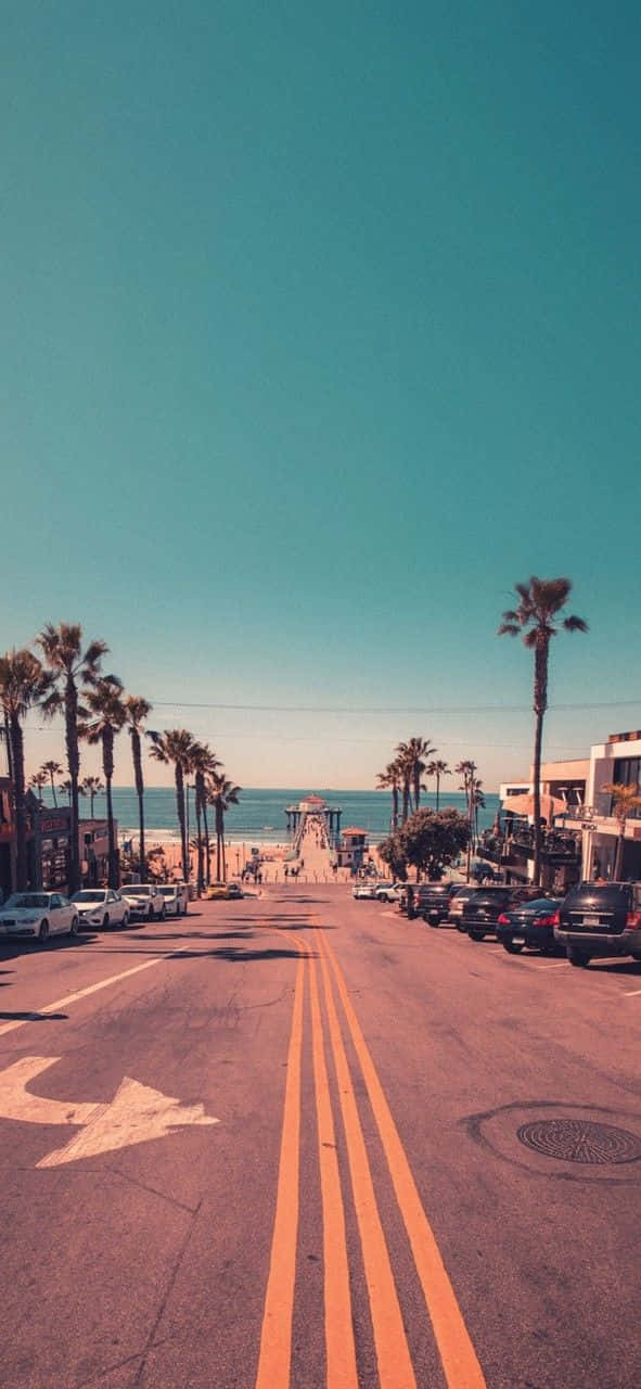 California Summer, palm trees, beach, HD Phone Wallpaper