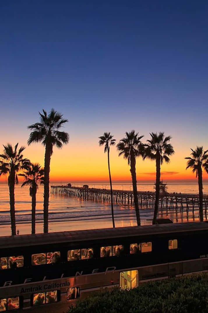 California Summer, palm trees, vibrant sunset, SD Phone Wallpaper