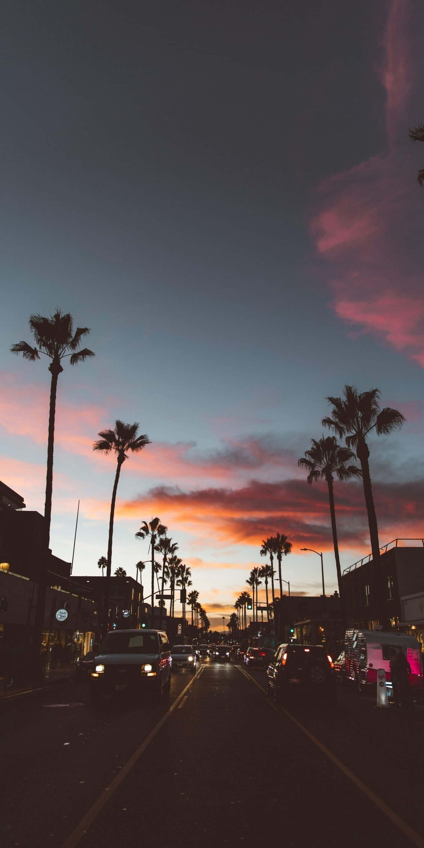 California Summer, palm trees, vibrant sunset sky, 2K Phone Wallpaper