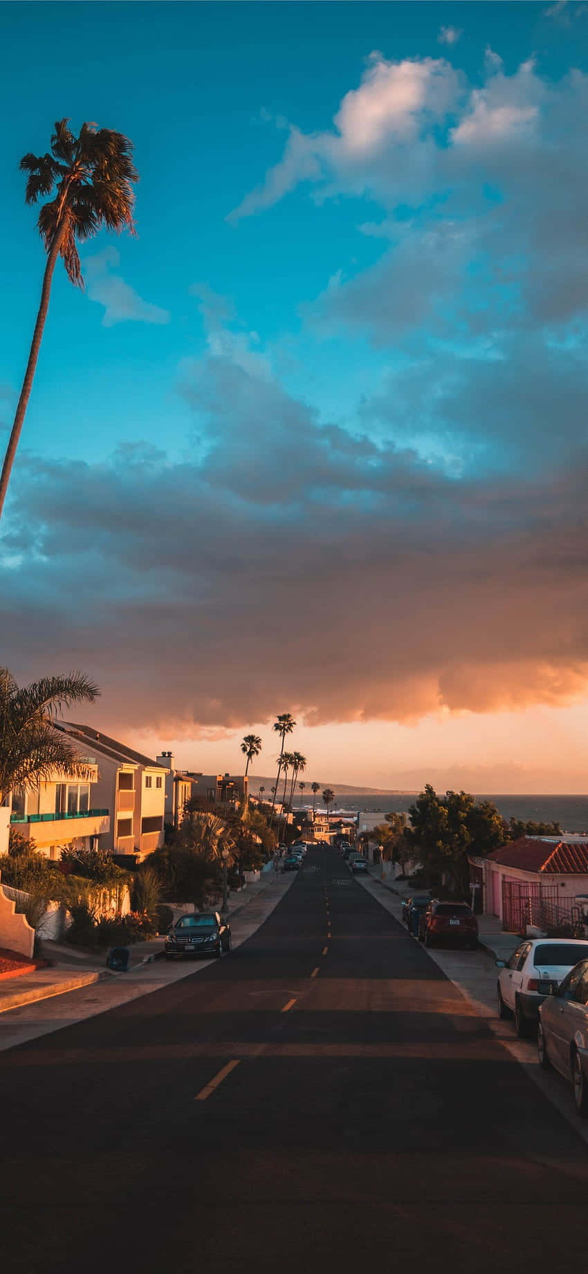 California Summer, coastal street, palm trees, HD Phone Wallpaper