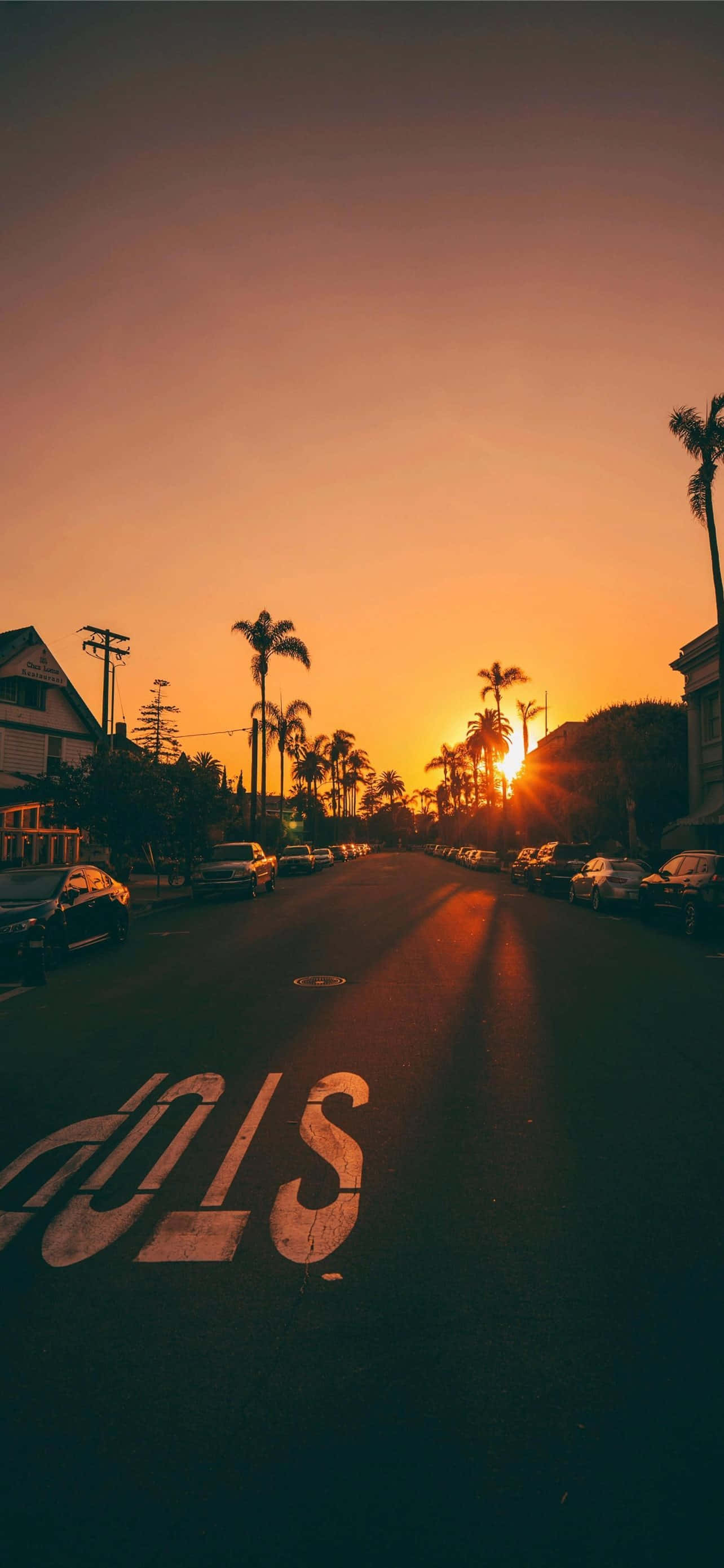 California Aesthetic, Sunset, palm-lined street, 2K Phone Wallpaper