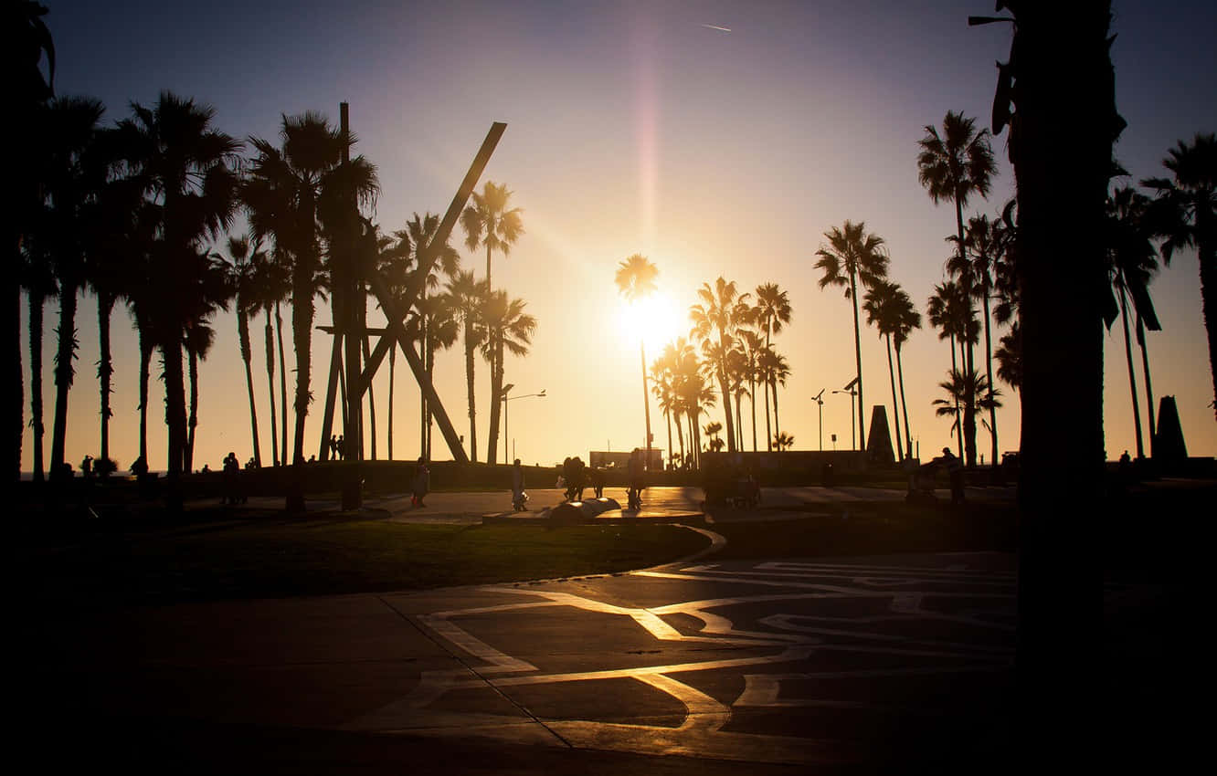 California Summer, Sunset, palm trees, HD Desktop Wallpaper