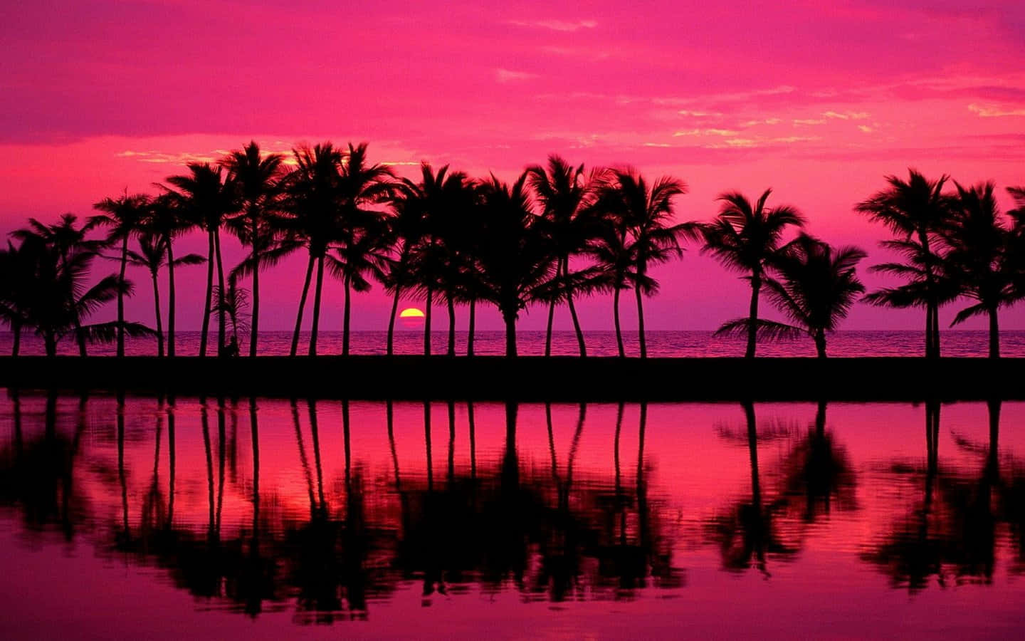 California, sunset, palm trees, HD Desktop Wallpaper