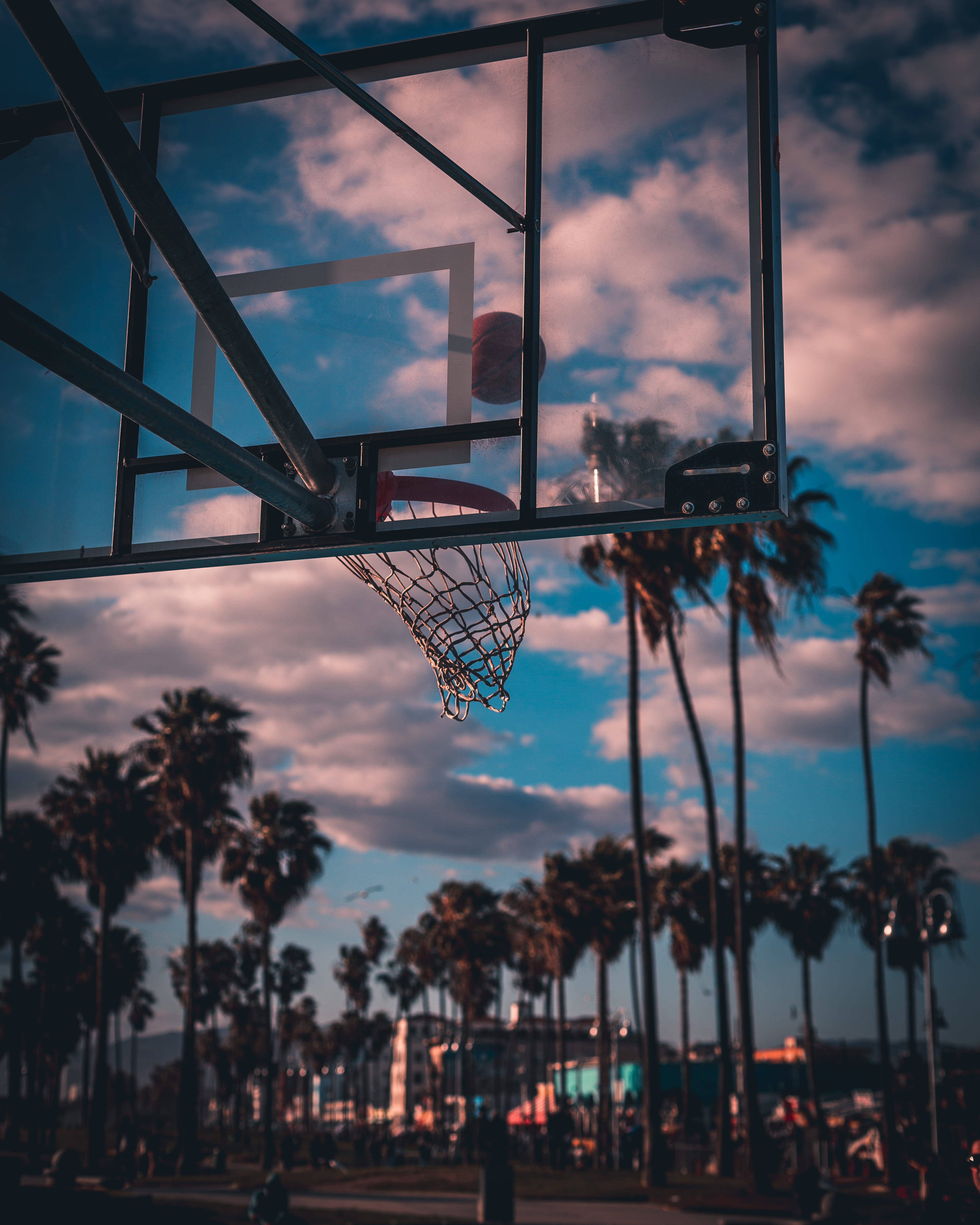 palm tree, sunset, basketball hoop, 4K Phone Wallpaper