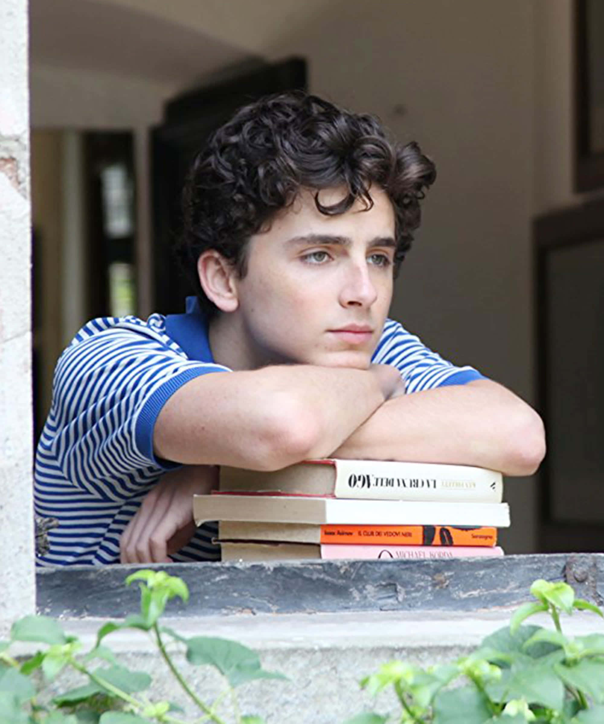 Call Me By Your Name, stone window ledge, curly hair, Full HD Phone Wallpaper