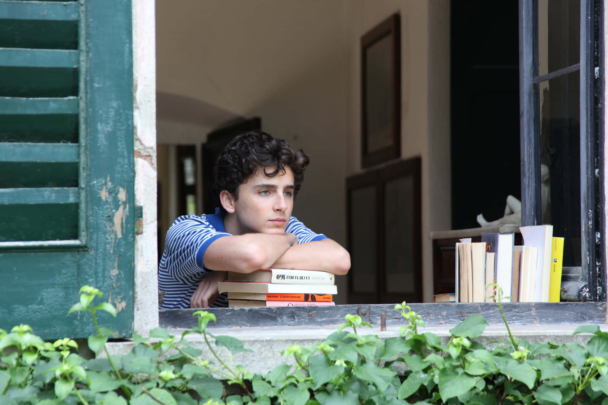 Call Me By Your Name, striped shirt, green shutters, Full HD Desktop Wallpaper