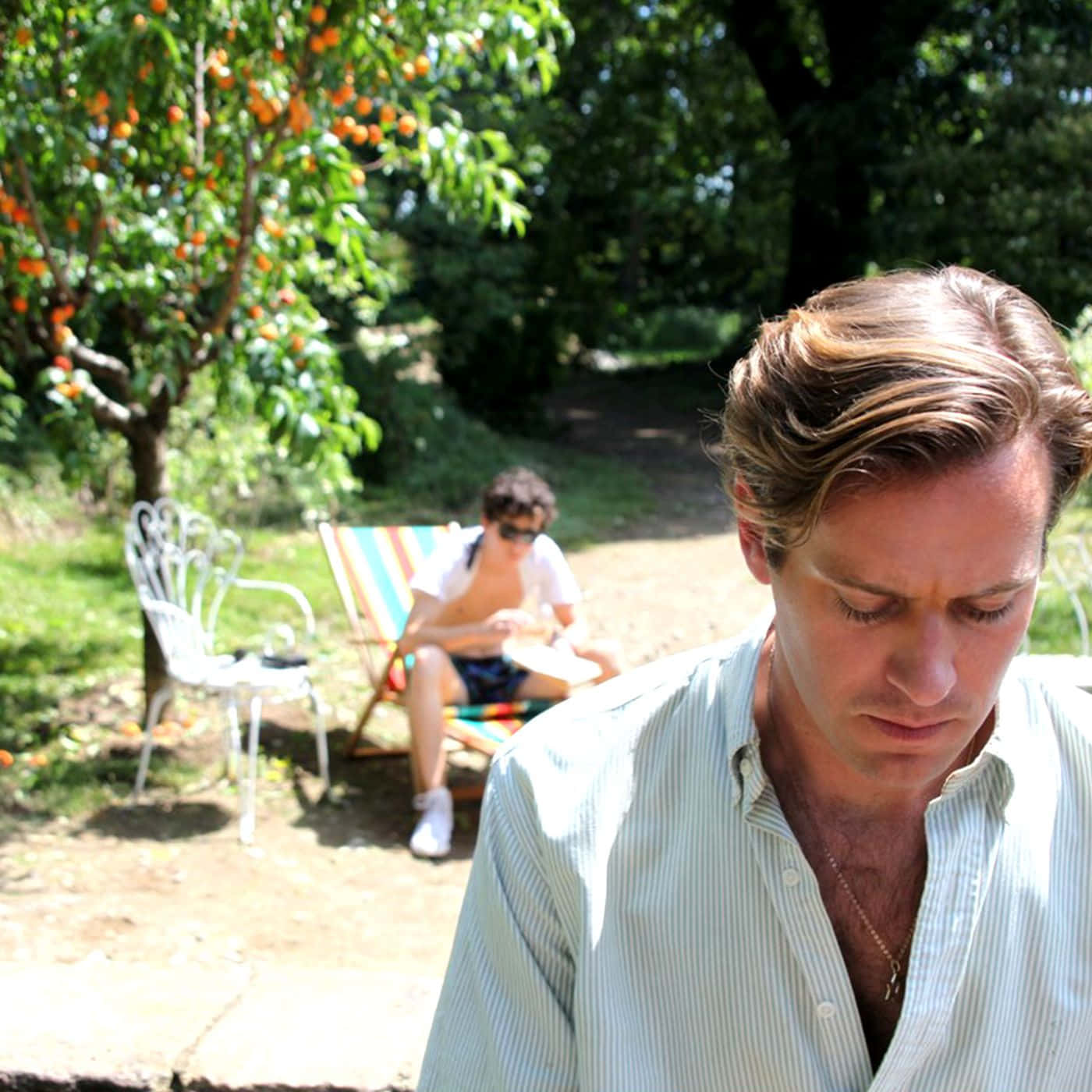 Call Me By Your Name, striped shirt, sunlit garden, HD Desktop Wallpaper