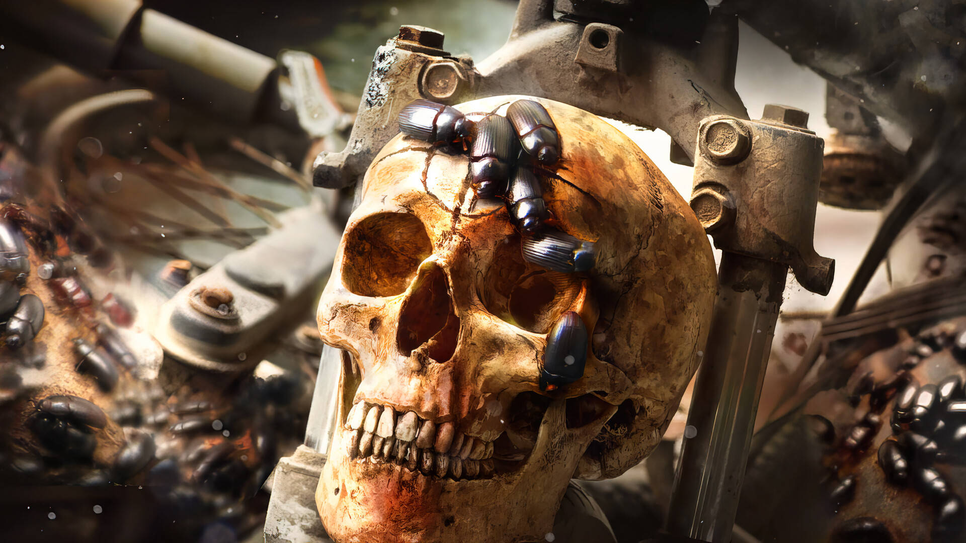 Call Of Duty Black Ops Cold War, beetles, skull, Full HD Desktop Wallpaper