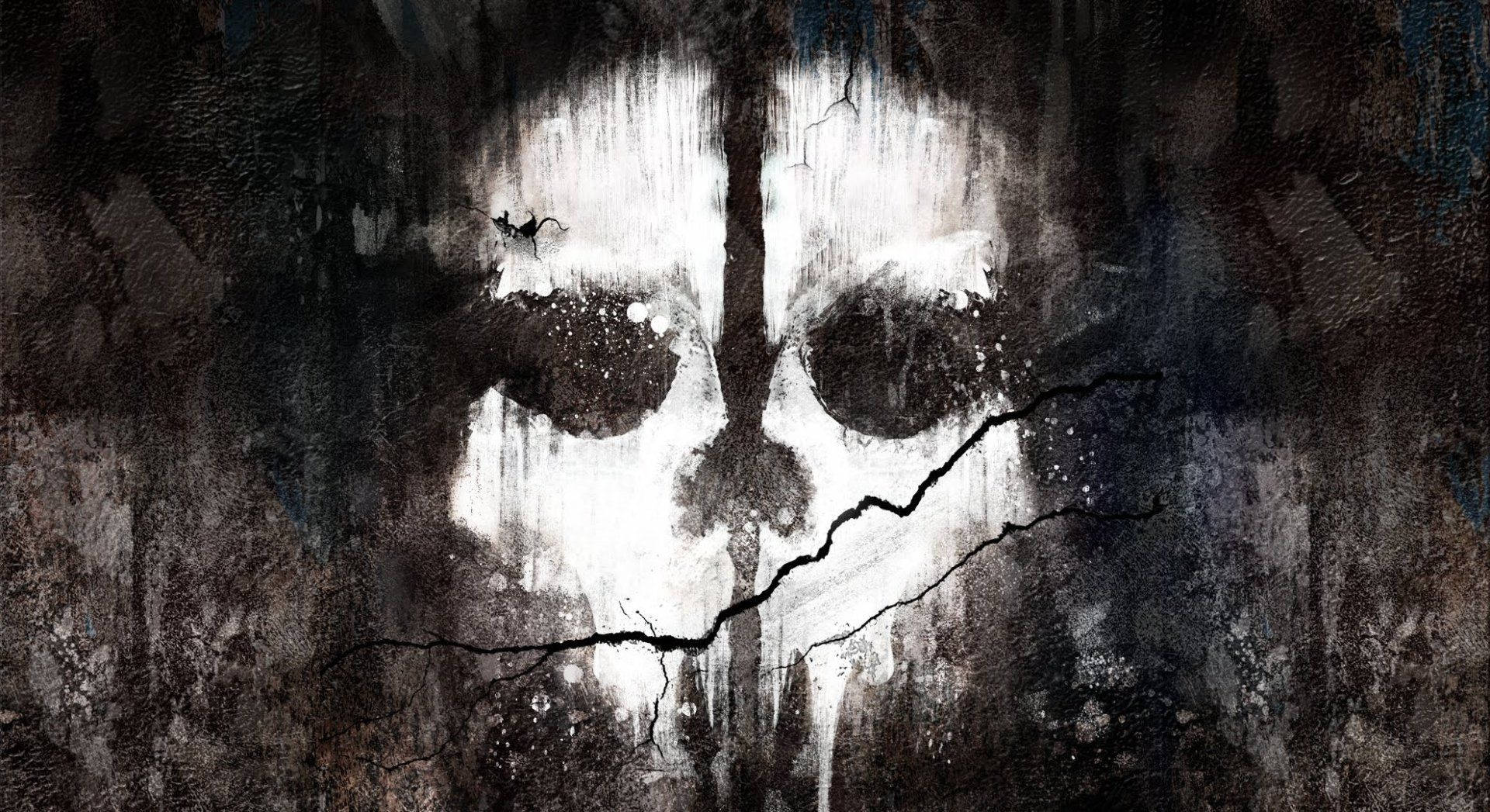 Call Of Duty Ghost, skull, stark white, Full HD Desktop Wallpaper