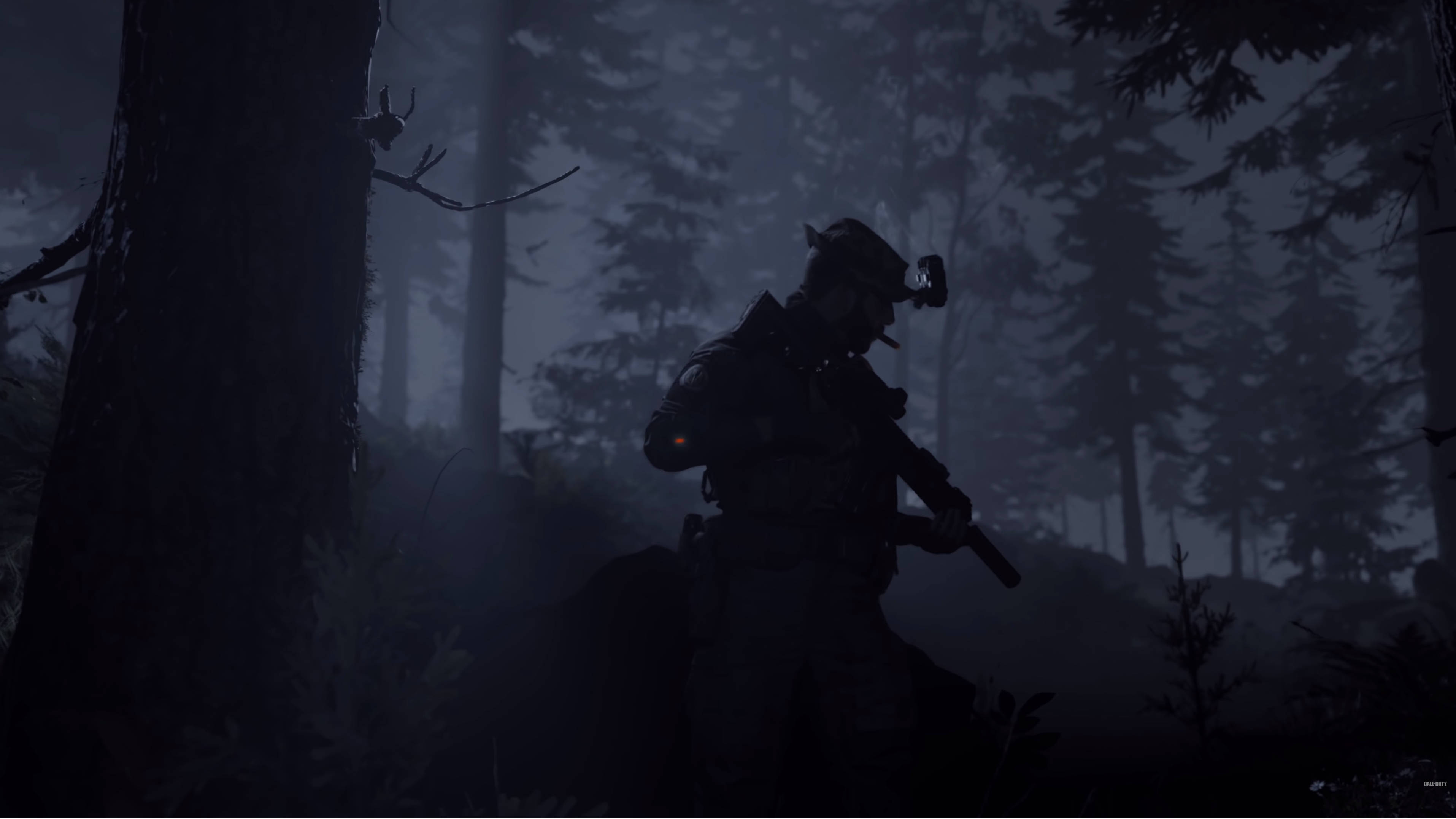 Call Of Duty Modern Warfare 2, forest, misty pine forest, 2K Desktop Wallpaper