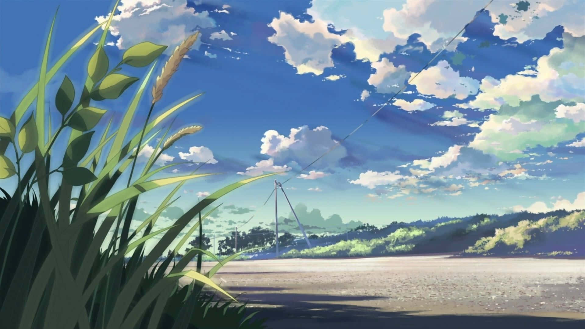 tall grass, vast blue sky, fluffy white clouds, Full HD Desktop Wallpaper