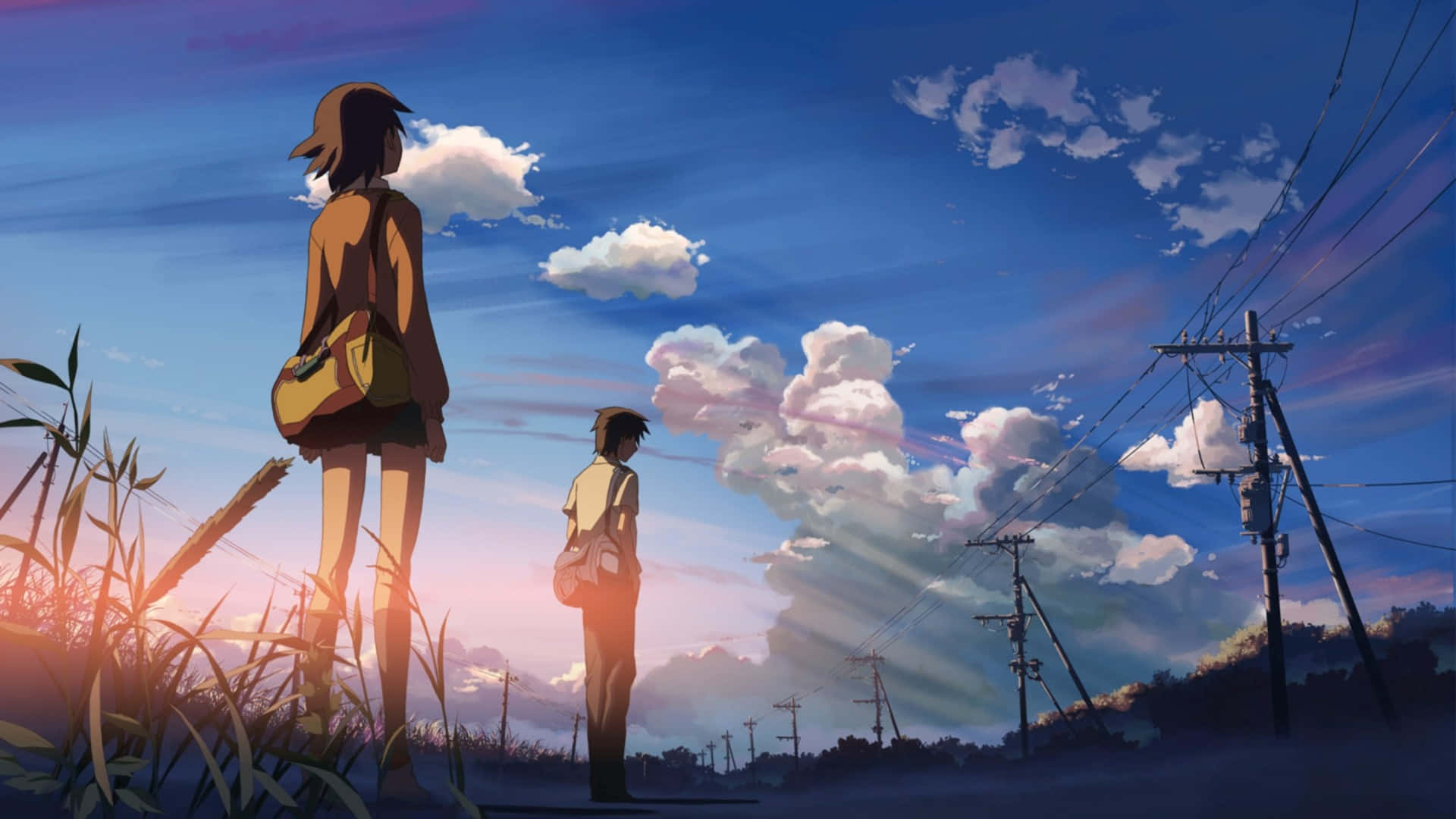 anime teens, tall grass, vibrant sunset sky, Full HD Desktop Wallpaper