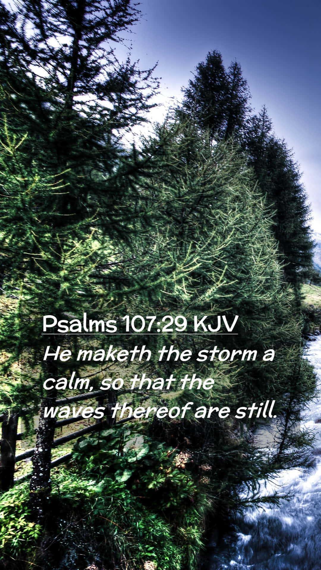Calm Mobile, evergreen trees, rushing river, Full HD Phone Wallpaper