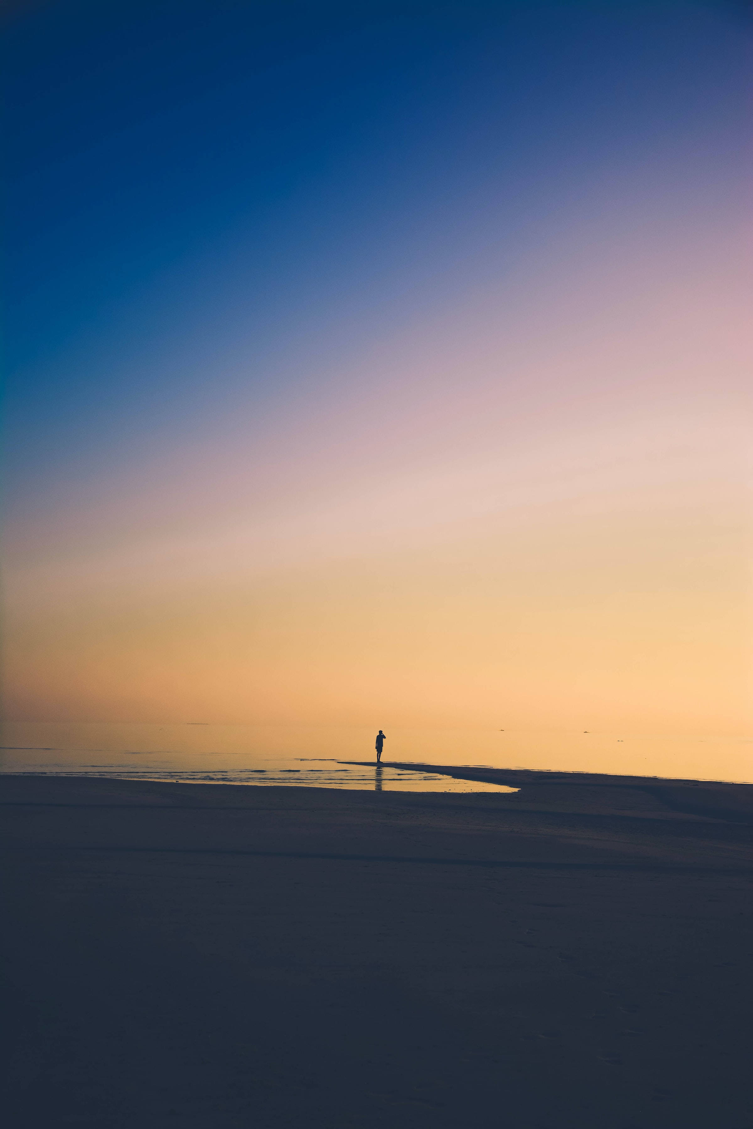 silhouette, water's edge, gradient sky, 2K Phone Wallpaper