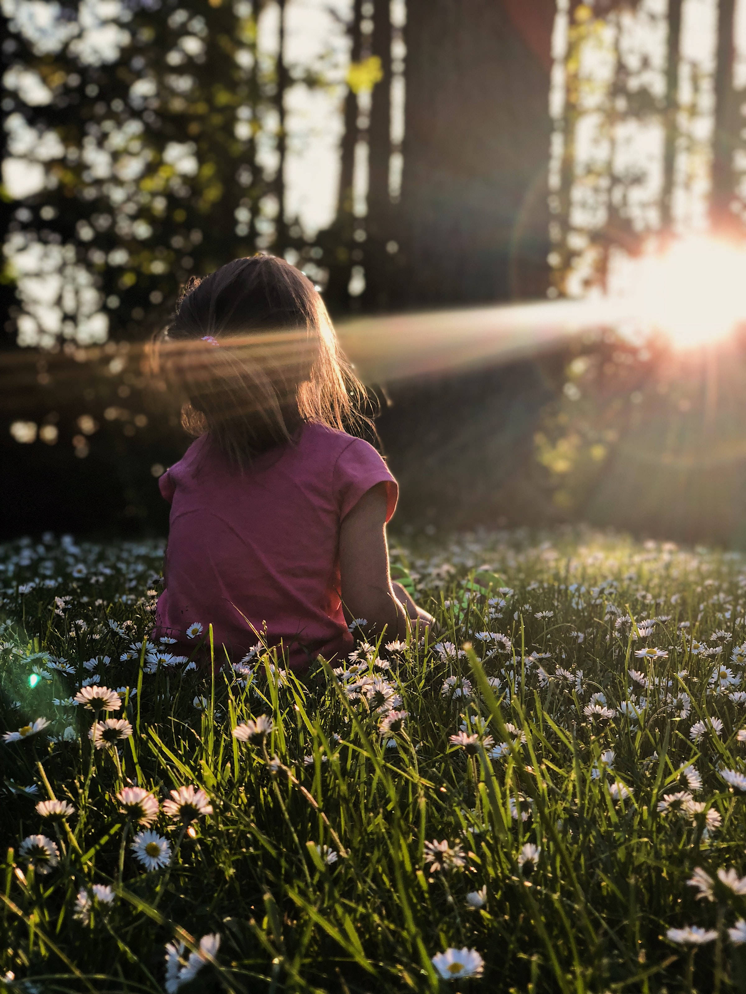 Calm Little Girl, pink shirt, daisies, 2K Phone Wallpaper